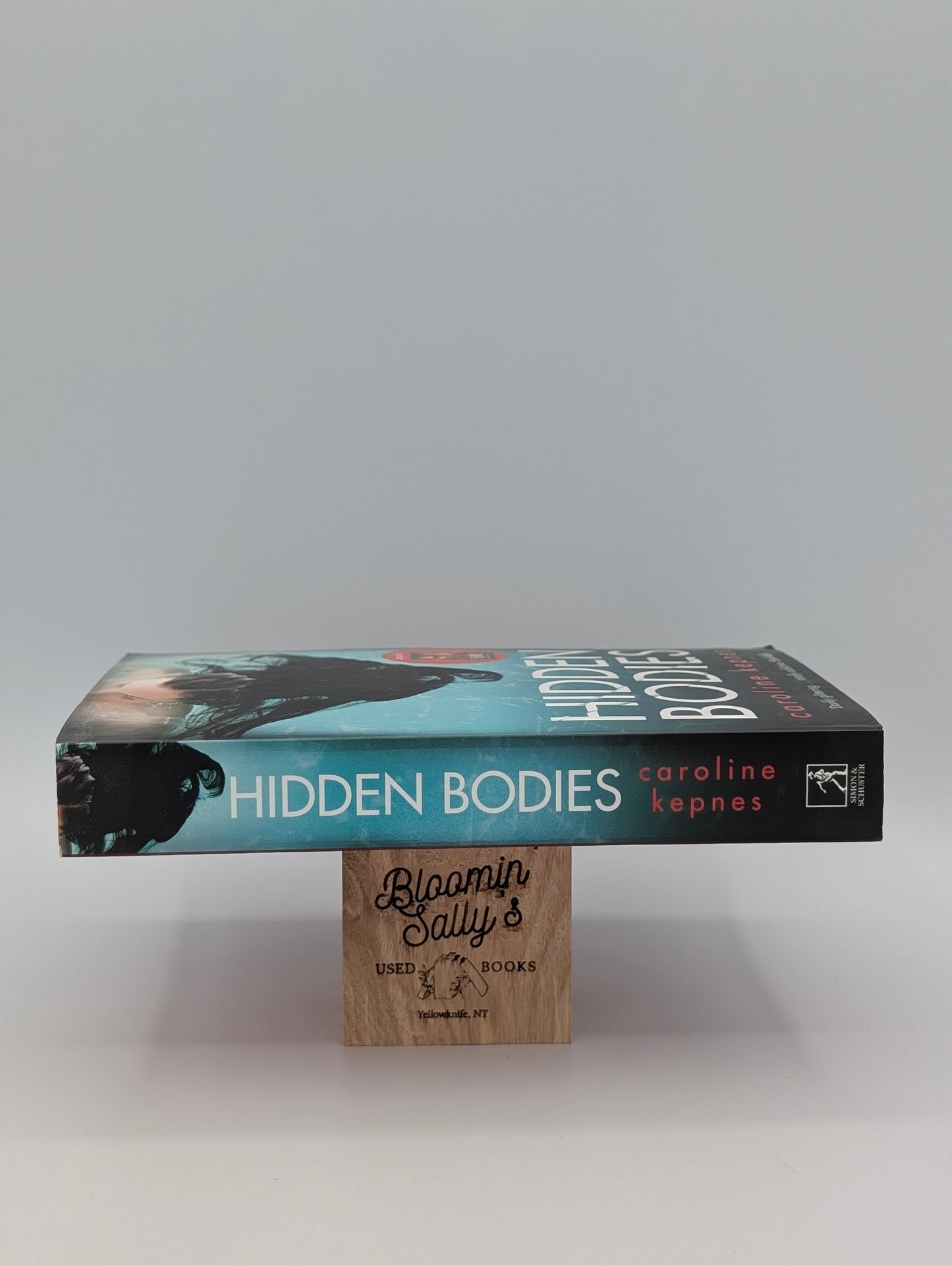 Hidden Bodies: The sequel to Netflix smash hit YOU (YOU series)
