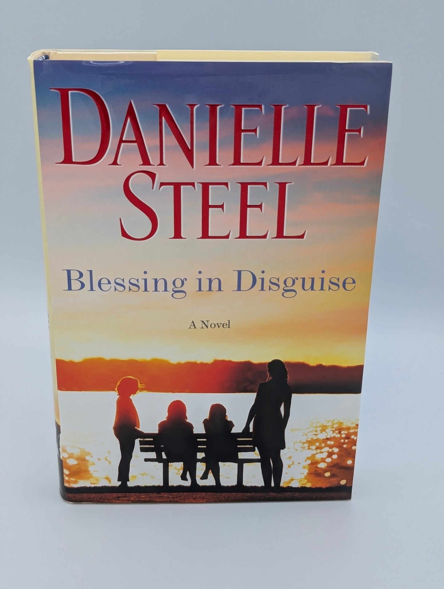 Blessing in Disguise: A Novel