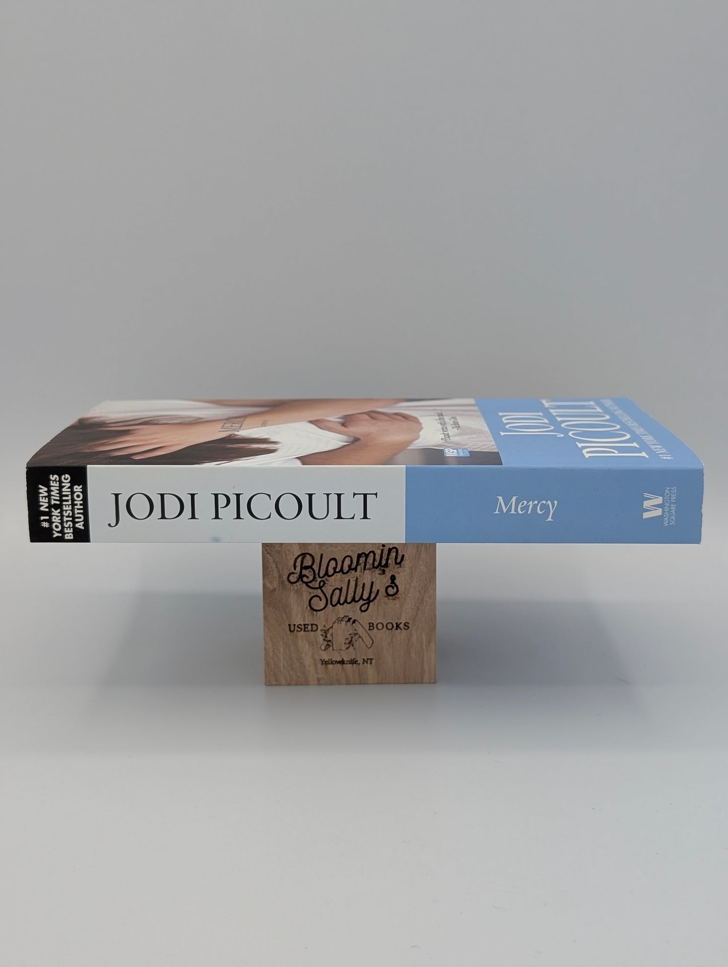 Mercy (A Novel)