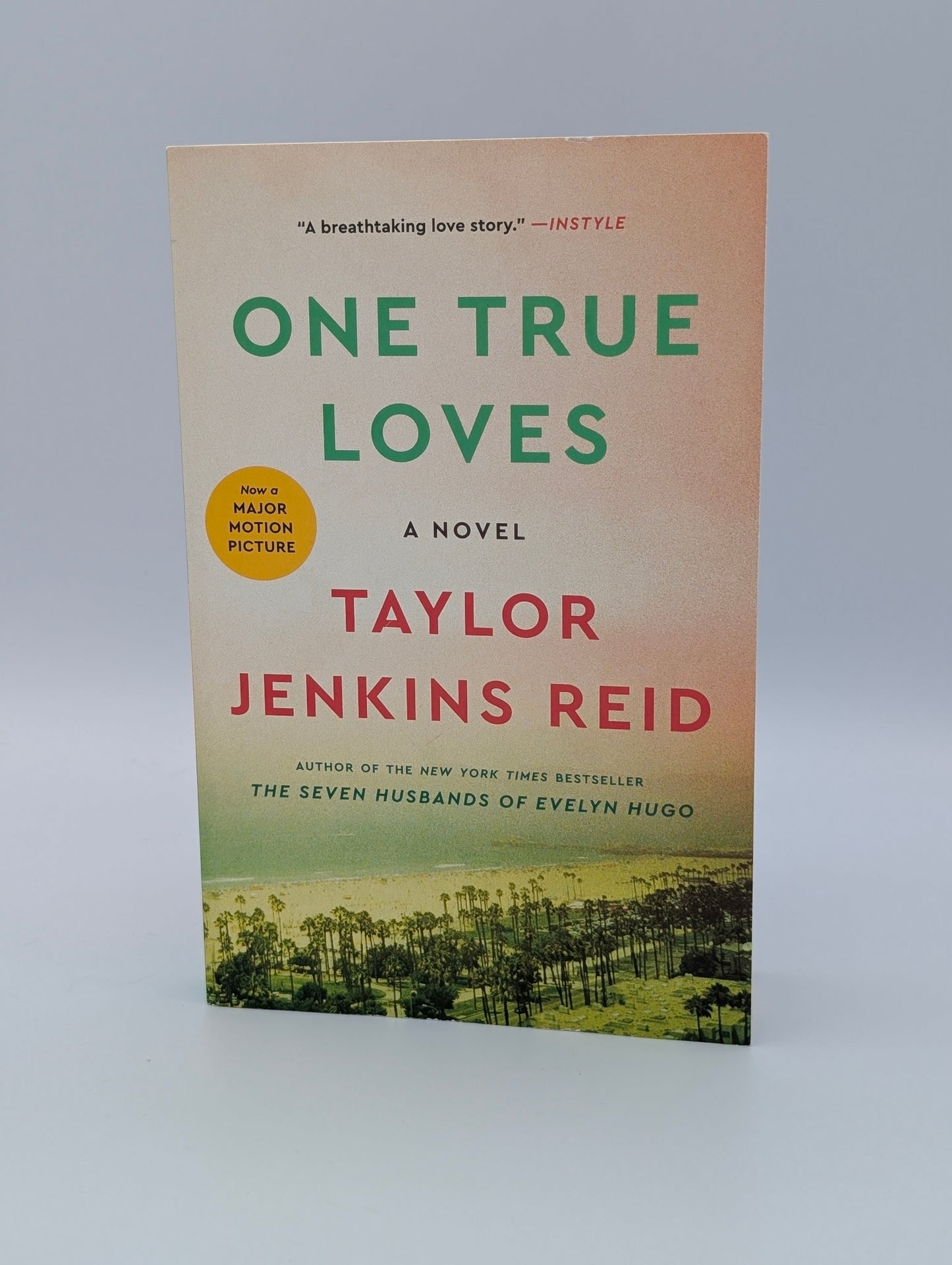 One True Loves: A Novel