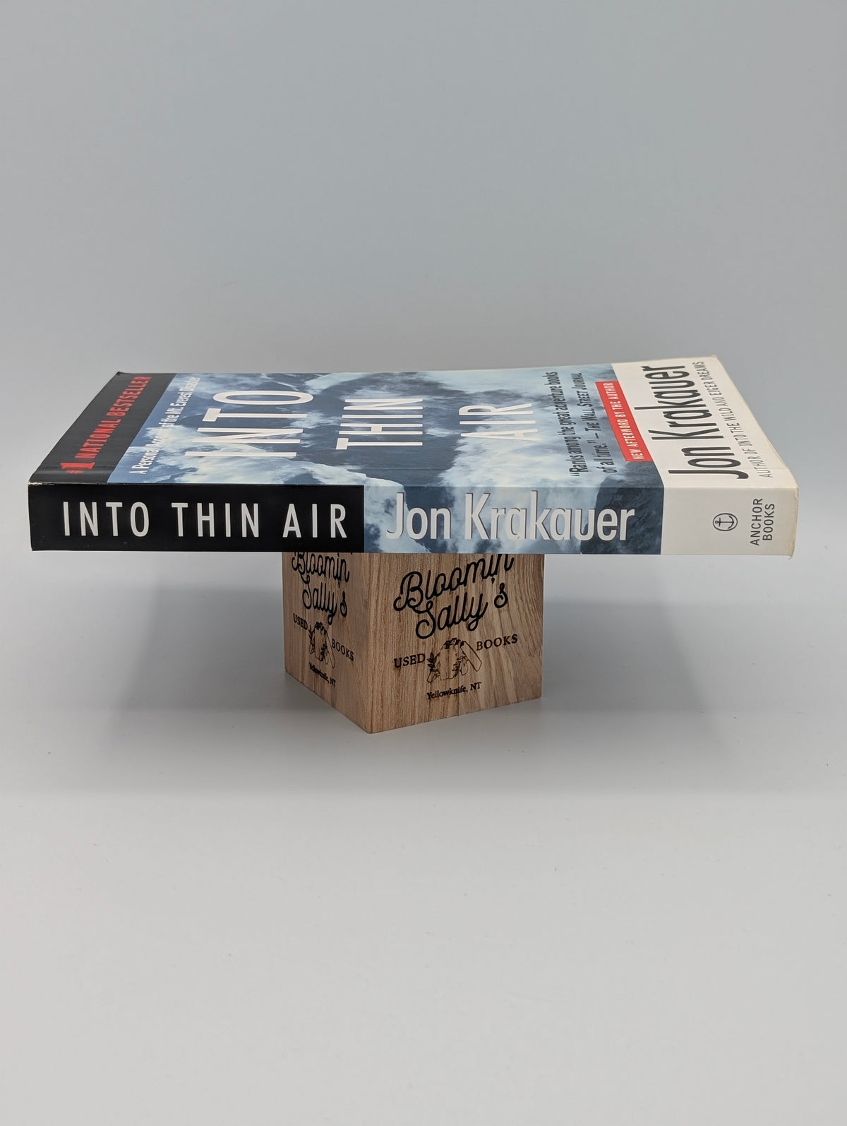 Into Thin Air: A Personal Account of the Mt. Everest Disaster