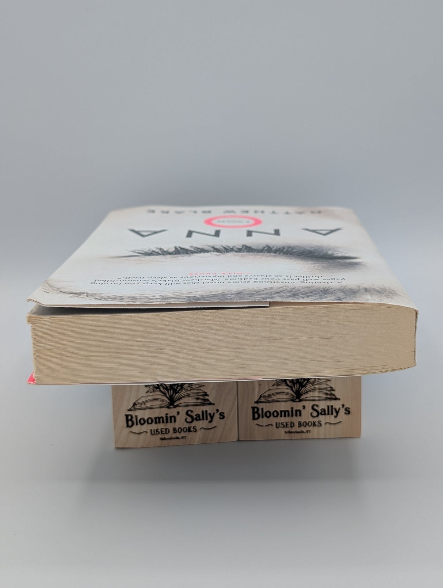 Anna O: A Novel