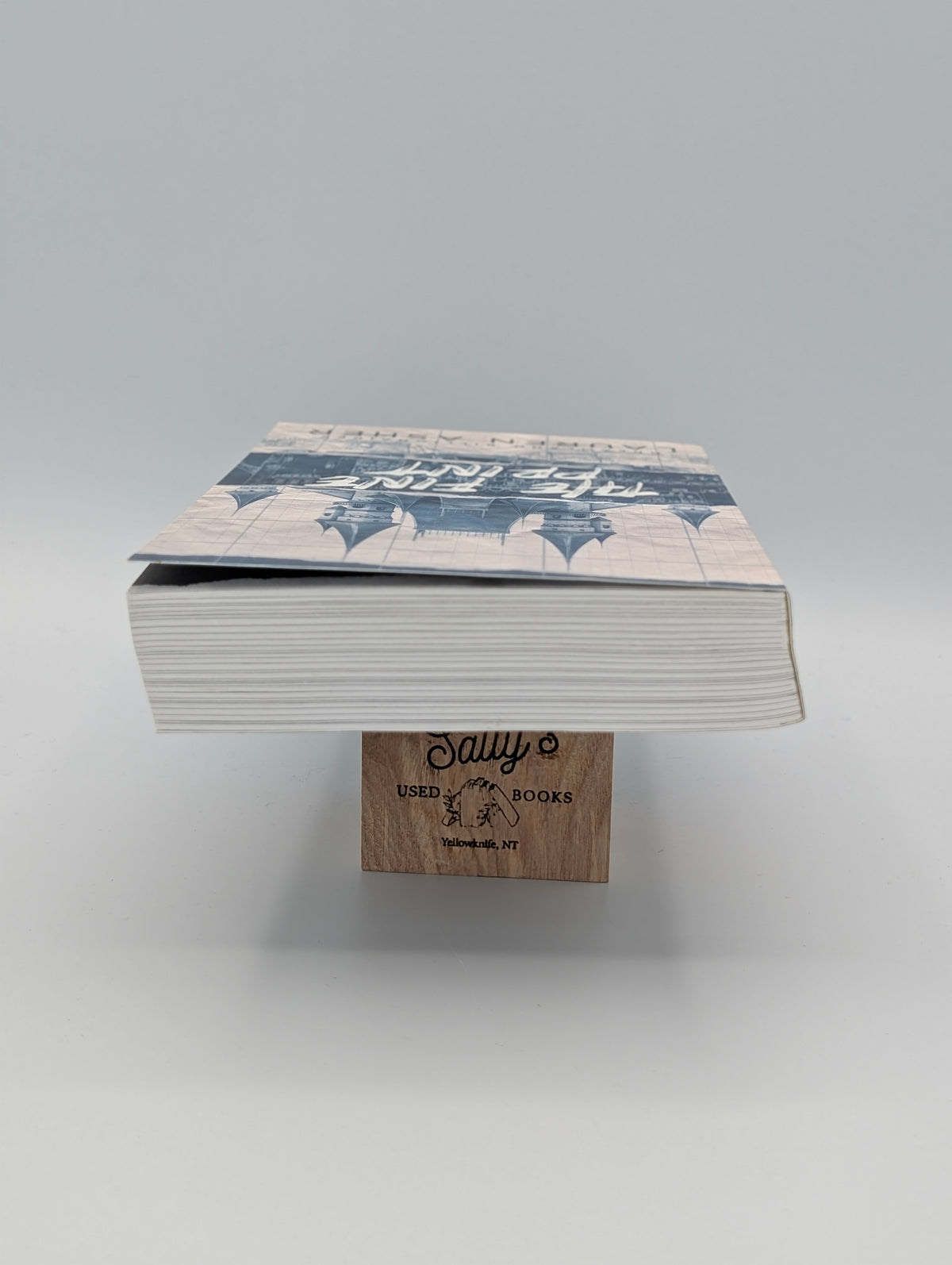 Édition spéciale « Les petits caractères » (Les milliardaires de Dreamland, 1)