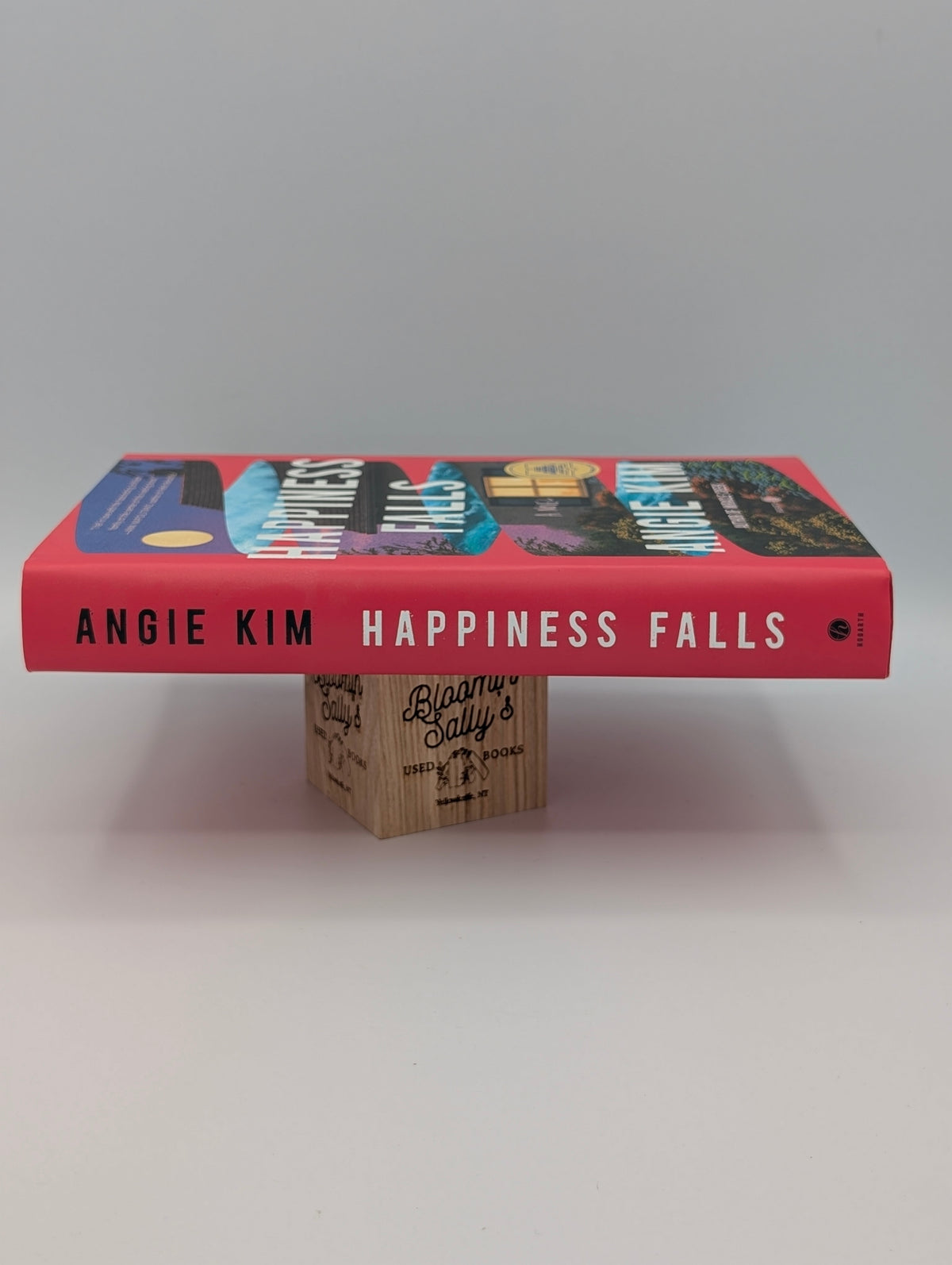 Happiness Falls: A GMA Book Club Pick: A Novel