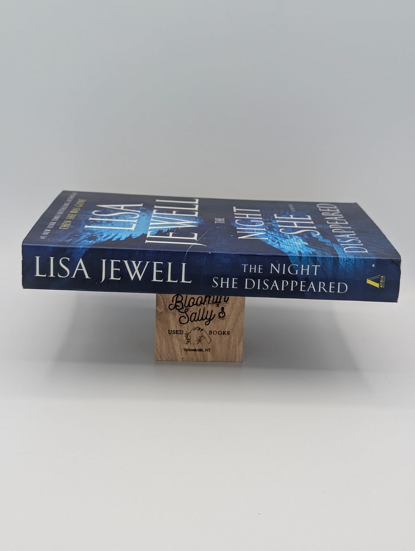 The Night She Disappeared: A Novel
