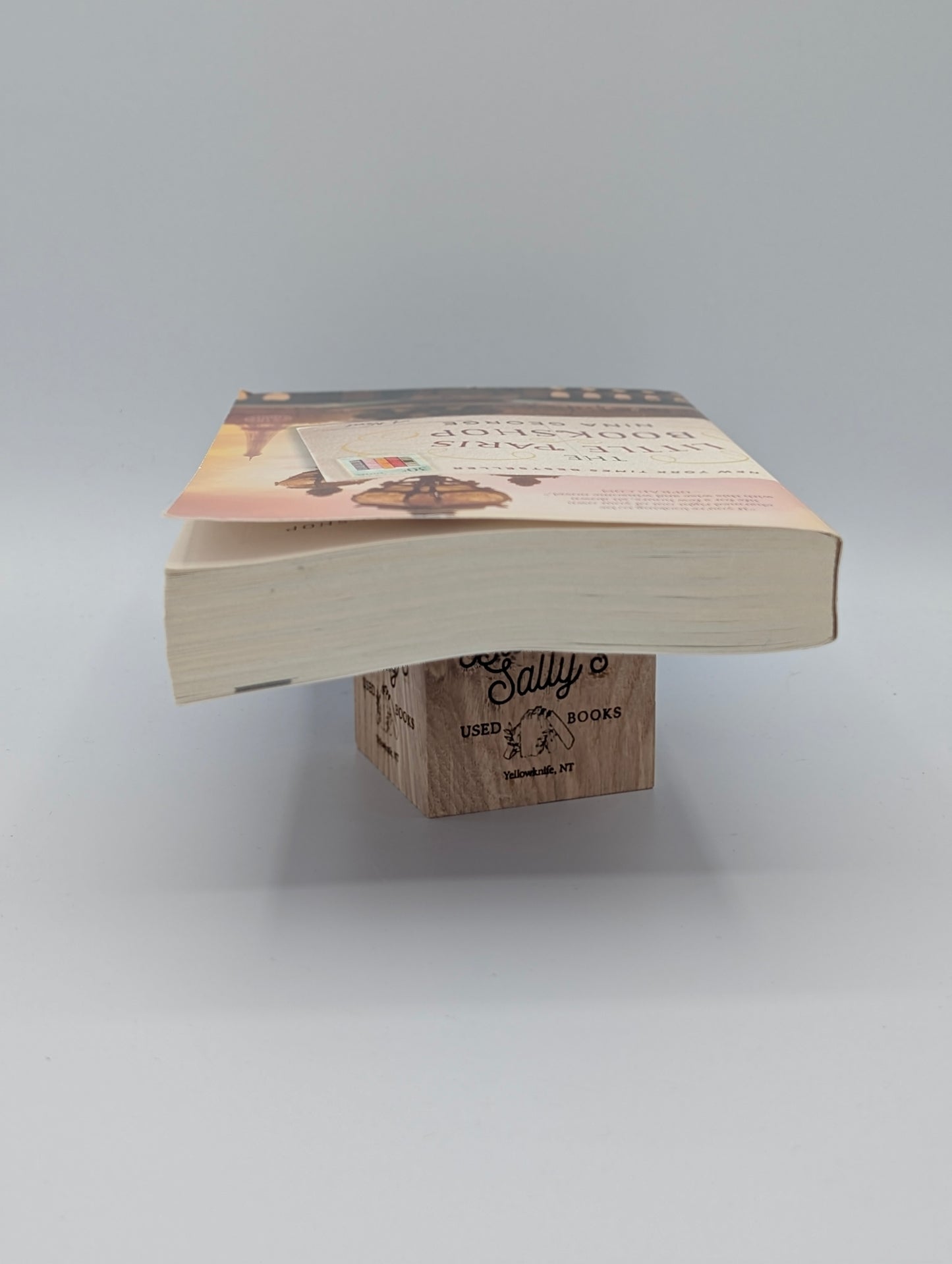 The Little Paris Bookshop: A Novel