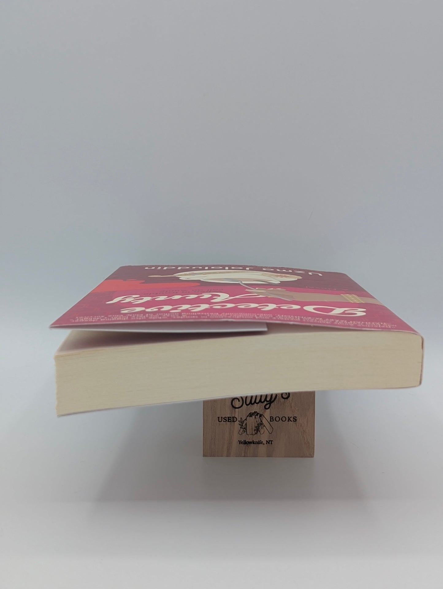 Detective Aunty: A Novel (Kausar Khan Investigates, 1)