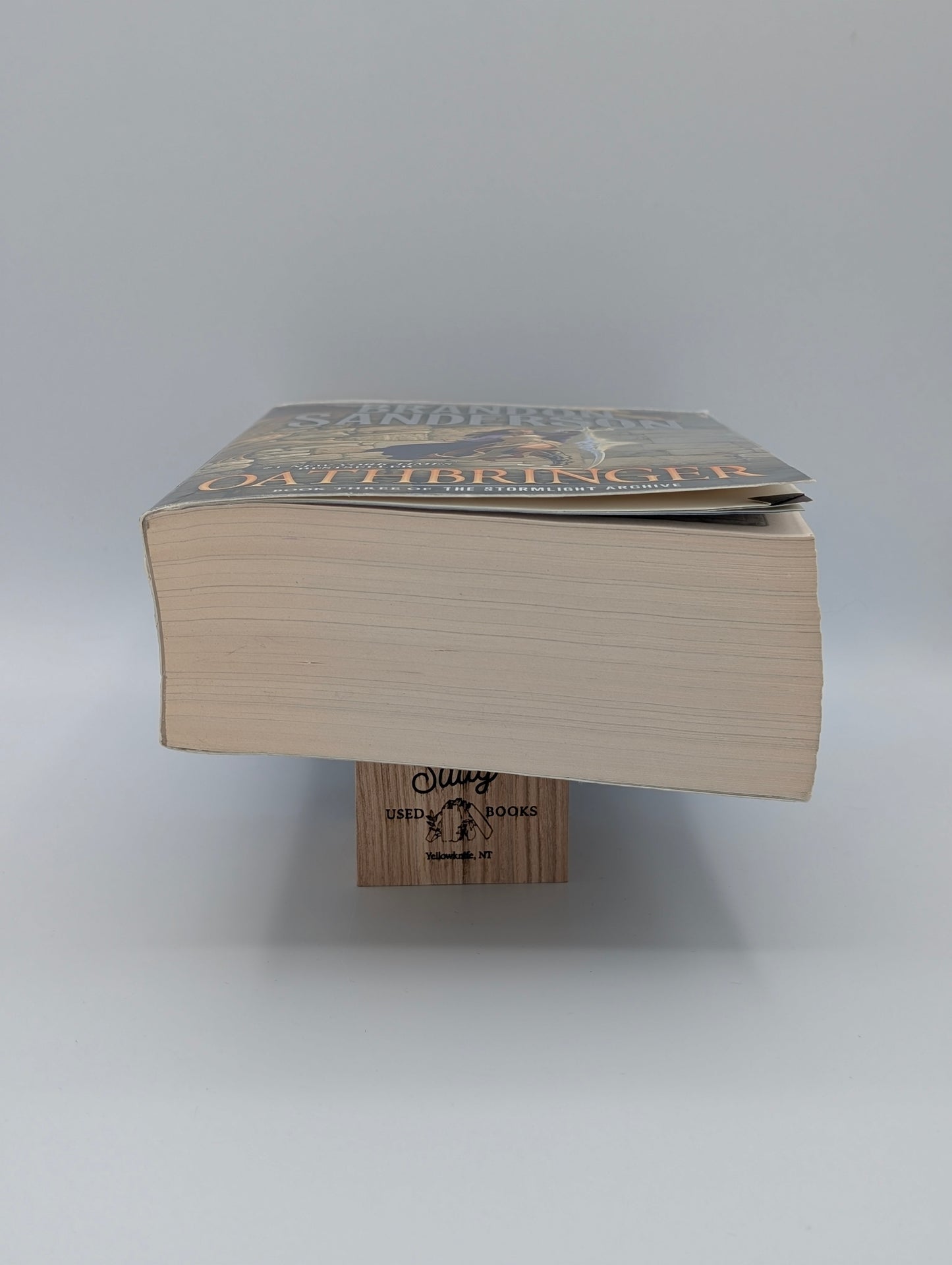 Oathbringer: Book Three of the Stormlight Archive (The Stormlight Archive, 3)