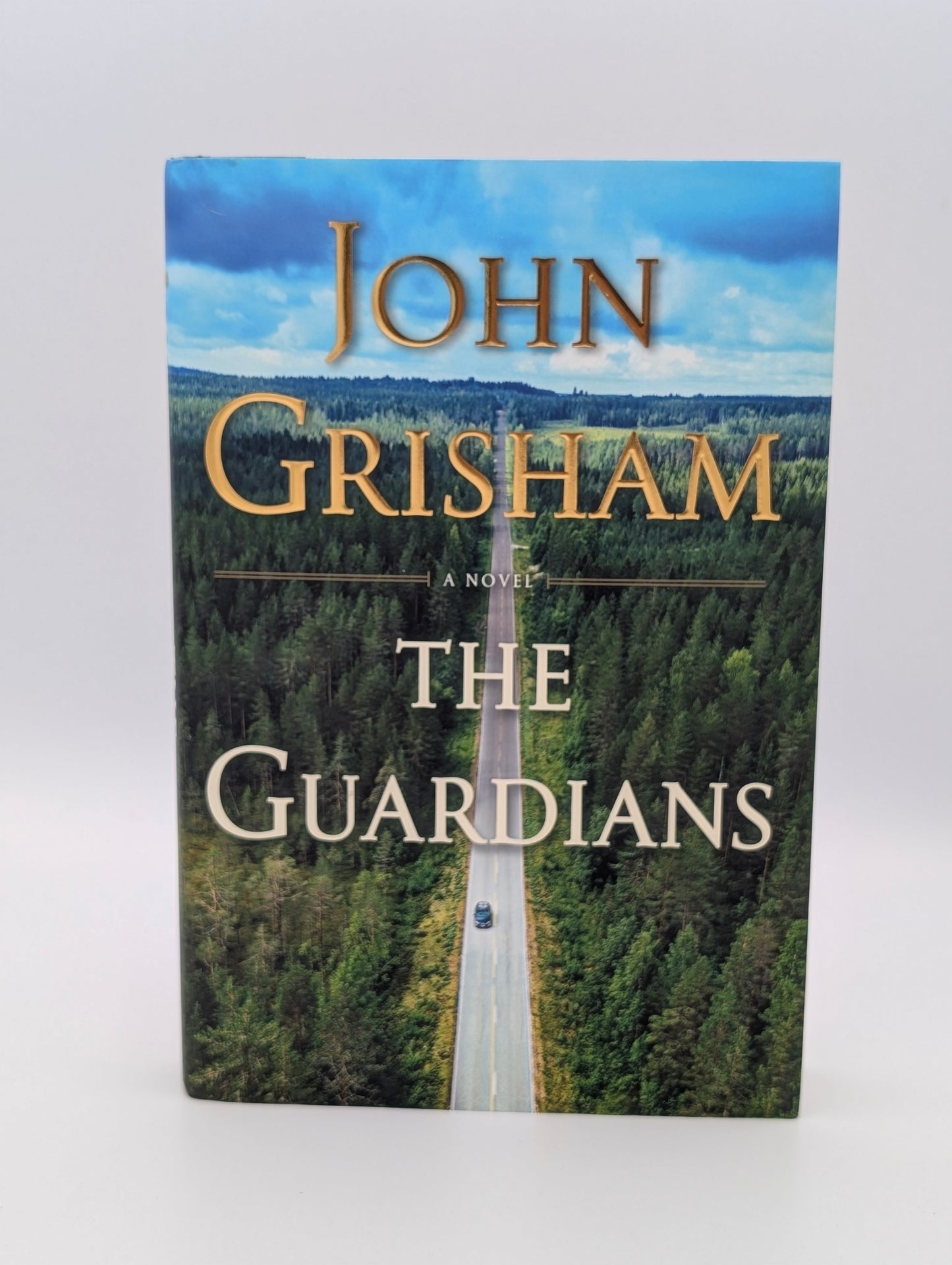 The Guardians: A Novel