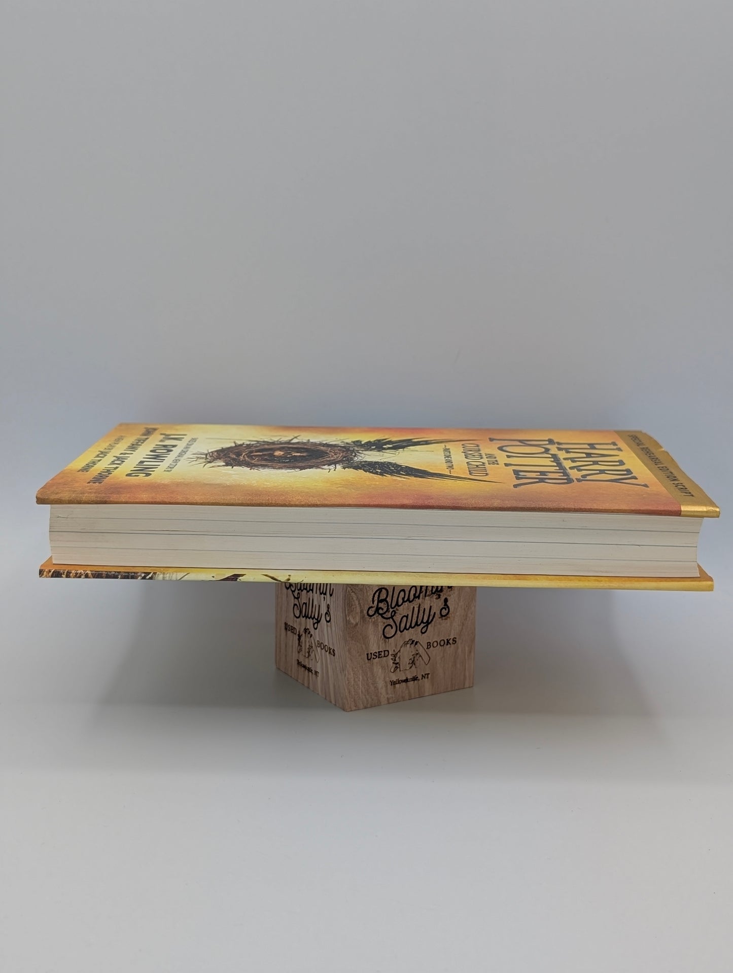 Harry Potter and the Cursed Child, Parts 1 & 2