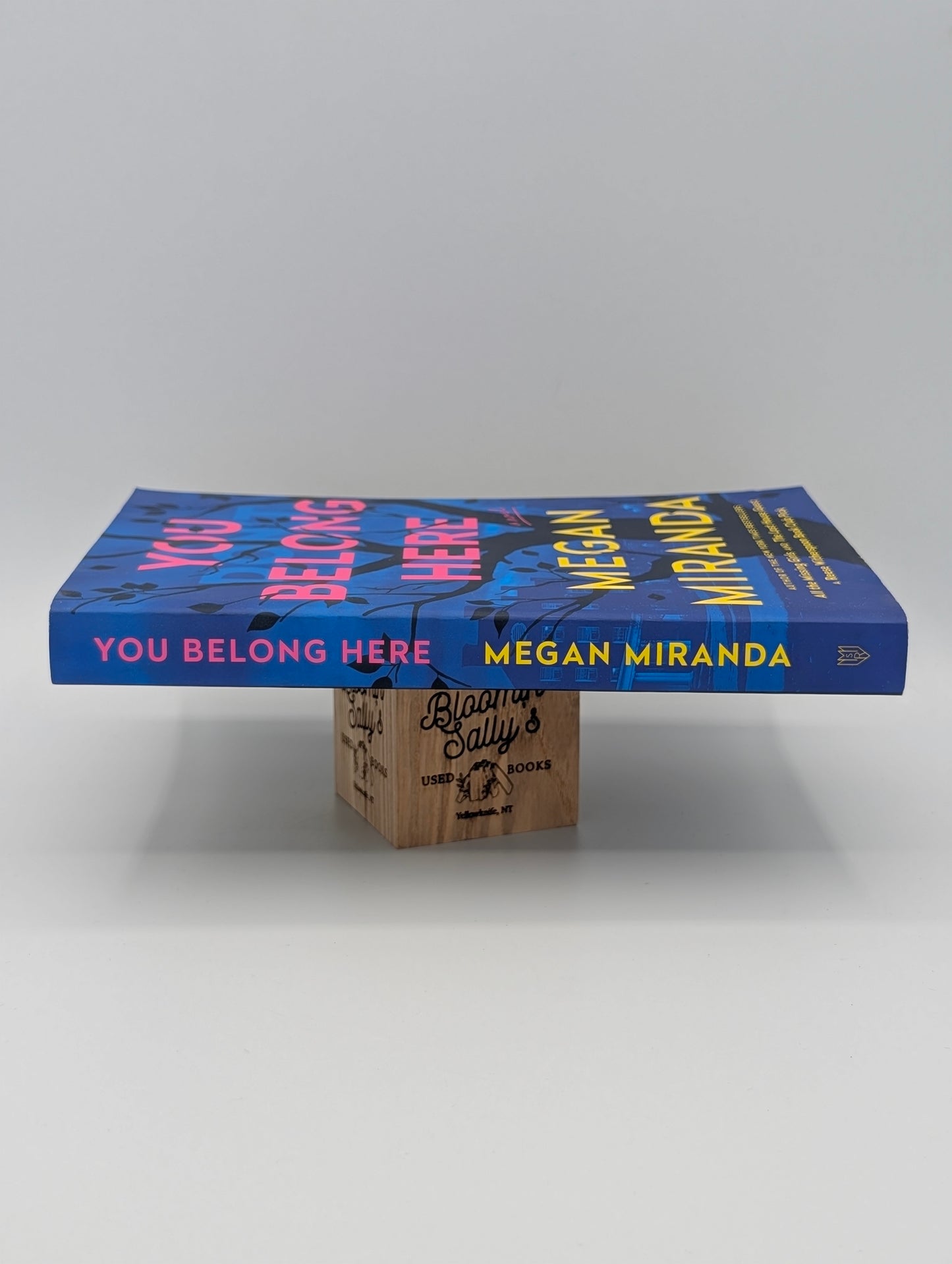 You Belong Here: A Novel