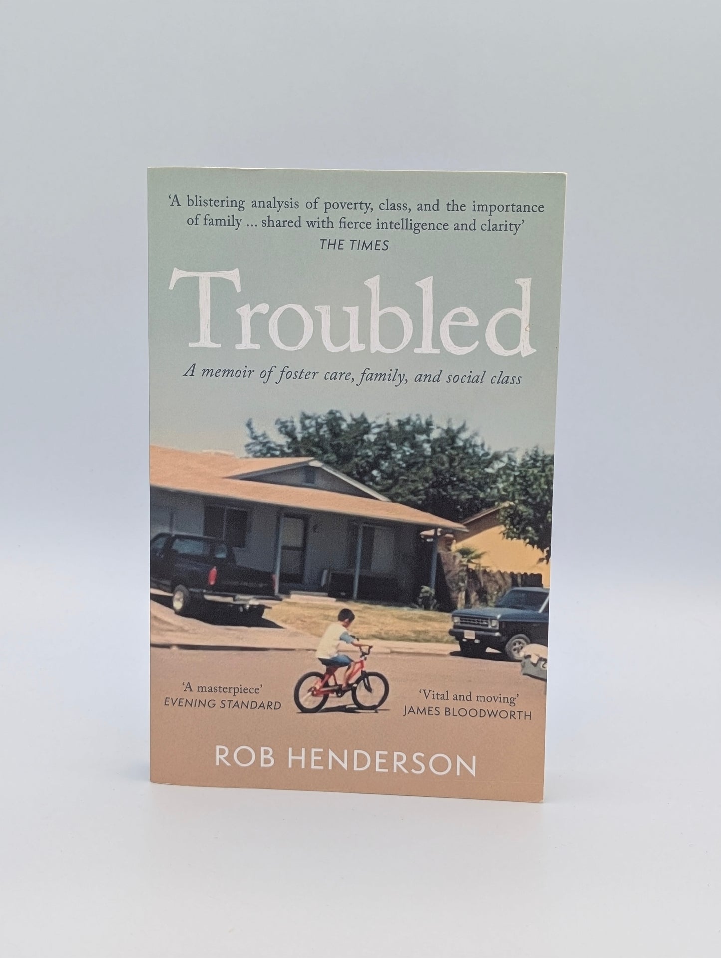 Troubled A Memoir of Foster Care, Family, and Social Class.
