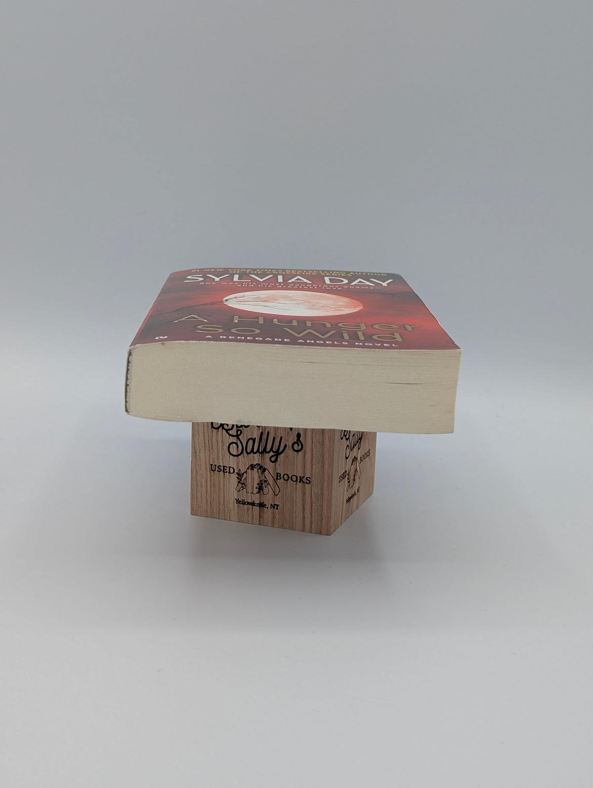 A Hunger So Wild: A Renegade Angels Novel