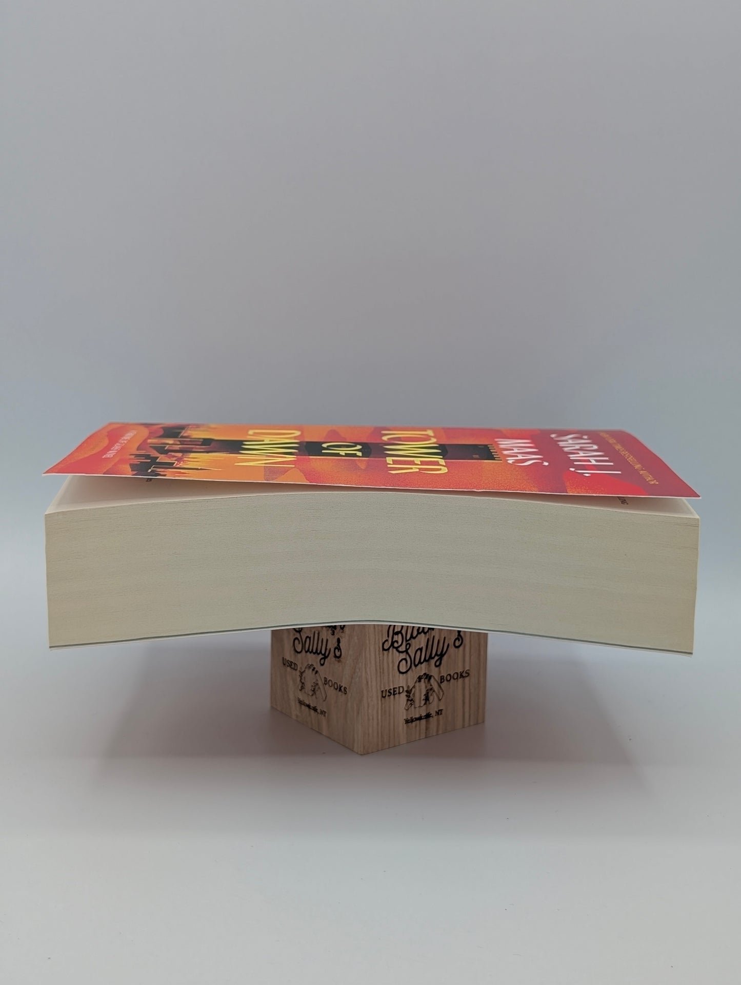 Tower of Dawn (Throne of Glass, 6)
