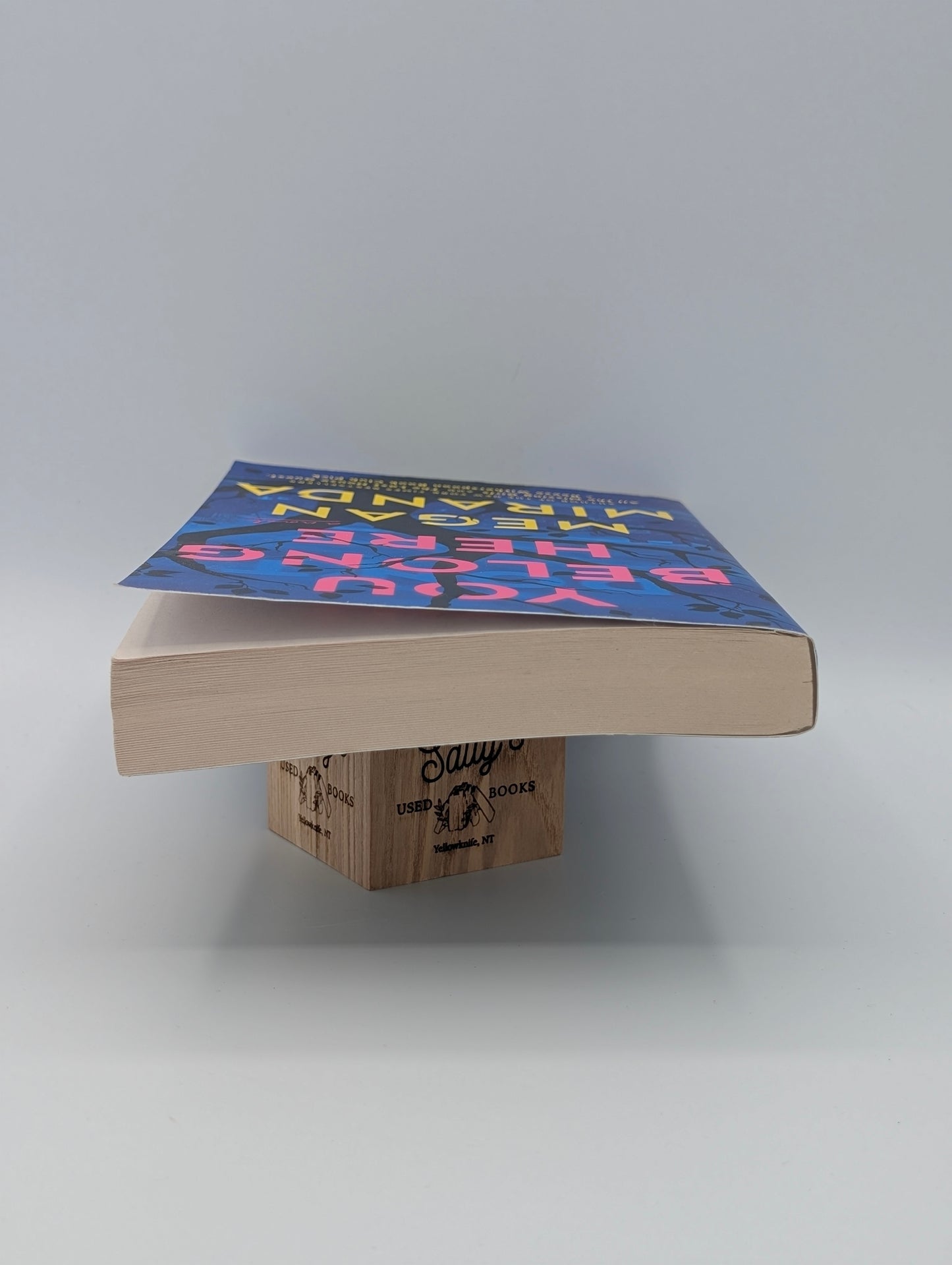 You Belong Here: A Novel