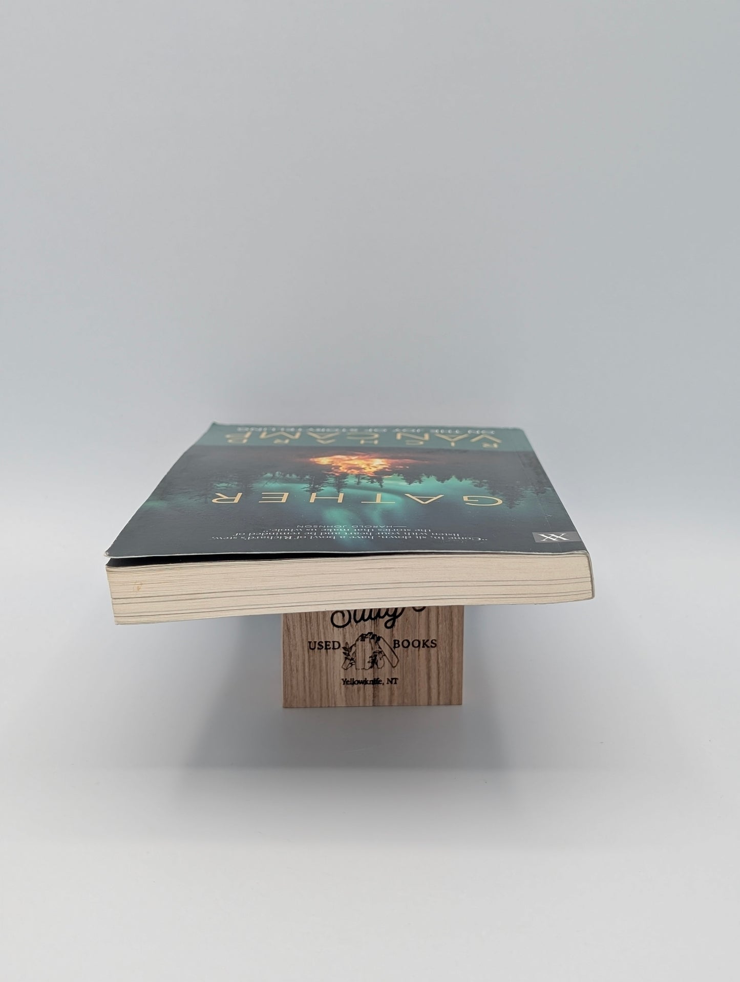 Gather: Richard Van Camp on the Joy of Storytelling (Writers on Writing, 3)