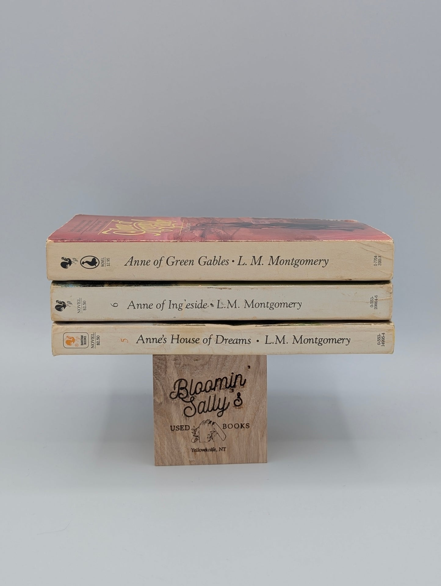 Anne of Green Gables Bundle