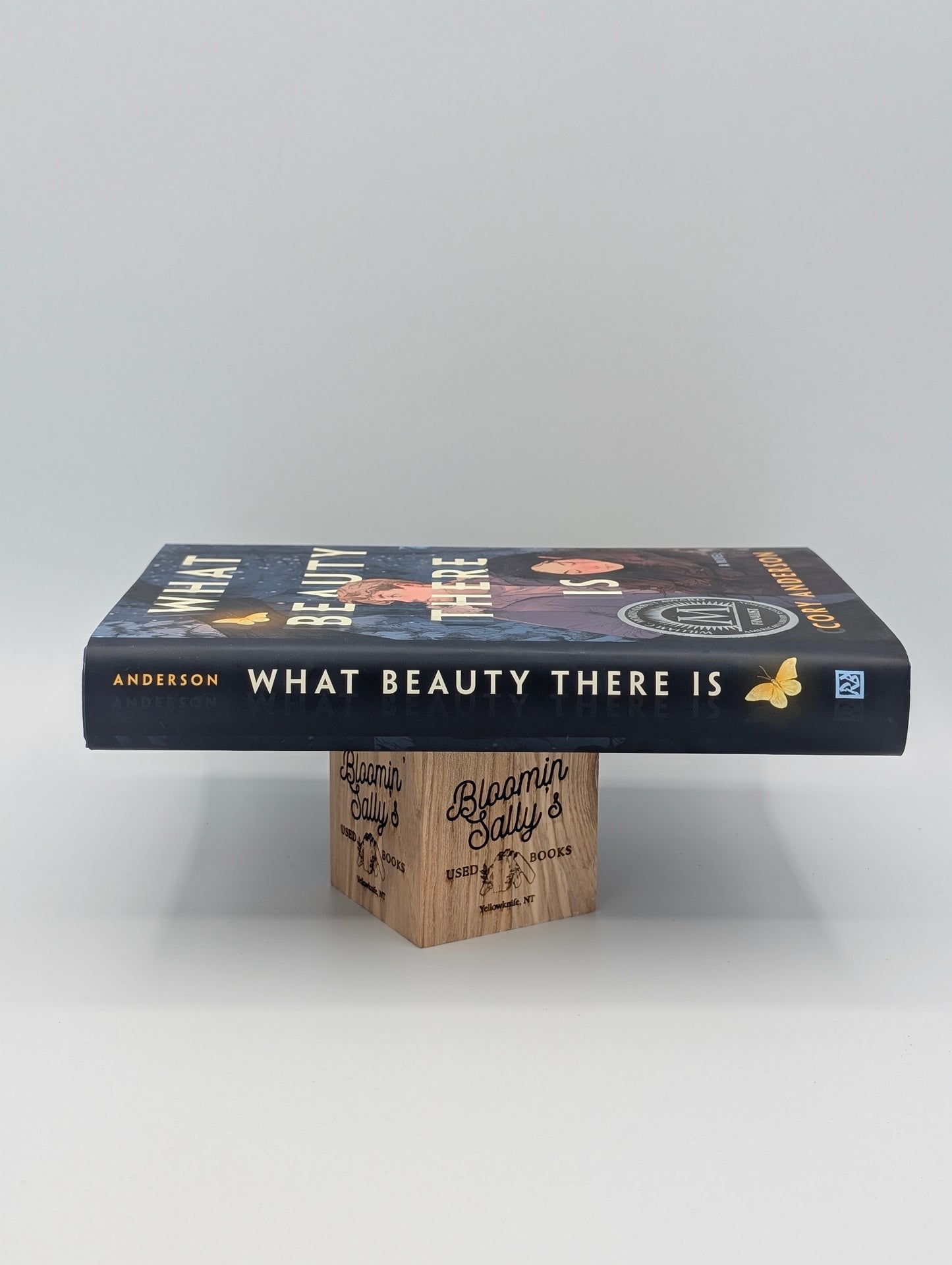 What Beauty There Is: A Novel
