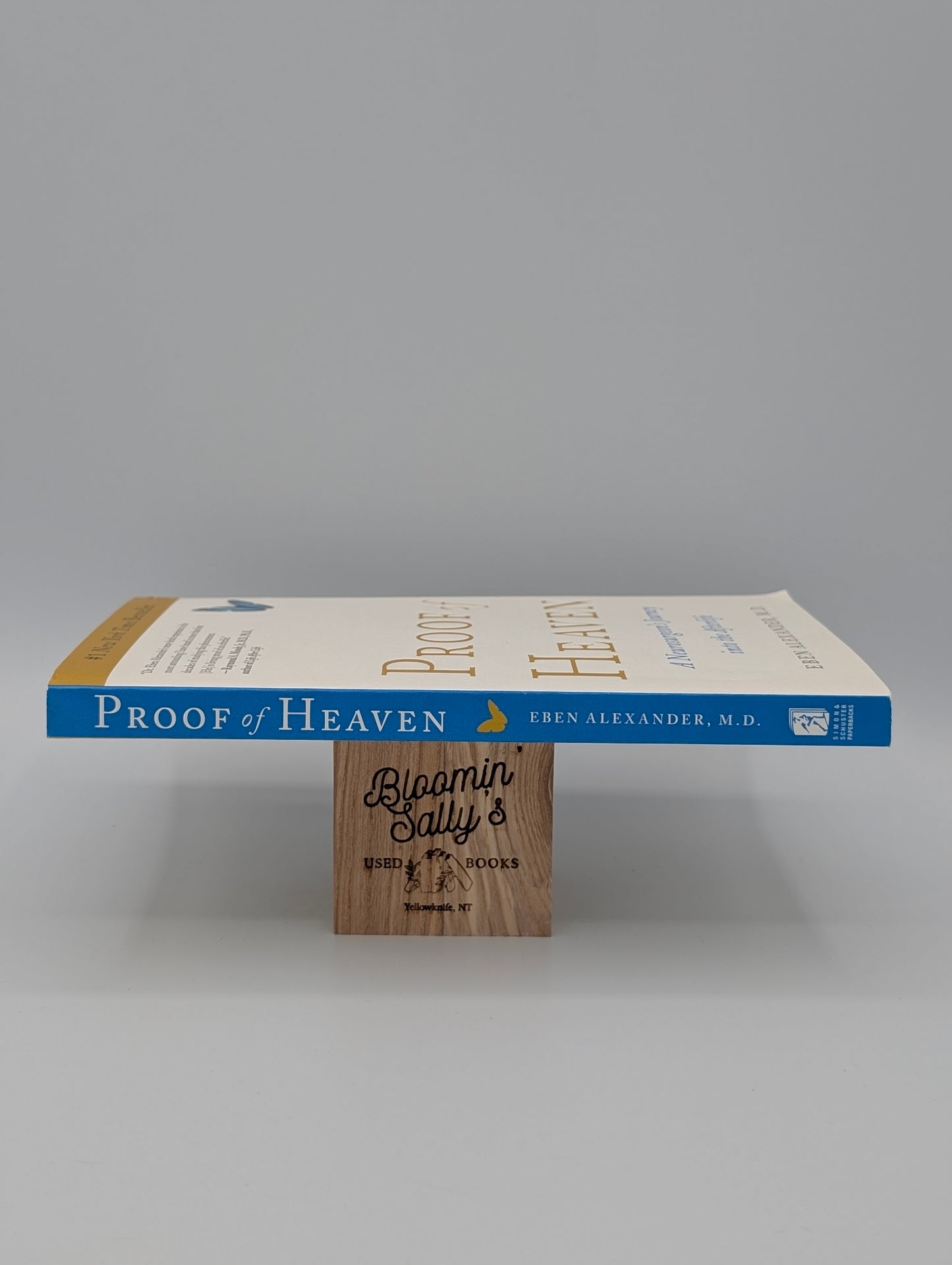 Proof of Heaven: A Neurosurgeon's Journey into the Afterlife