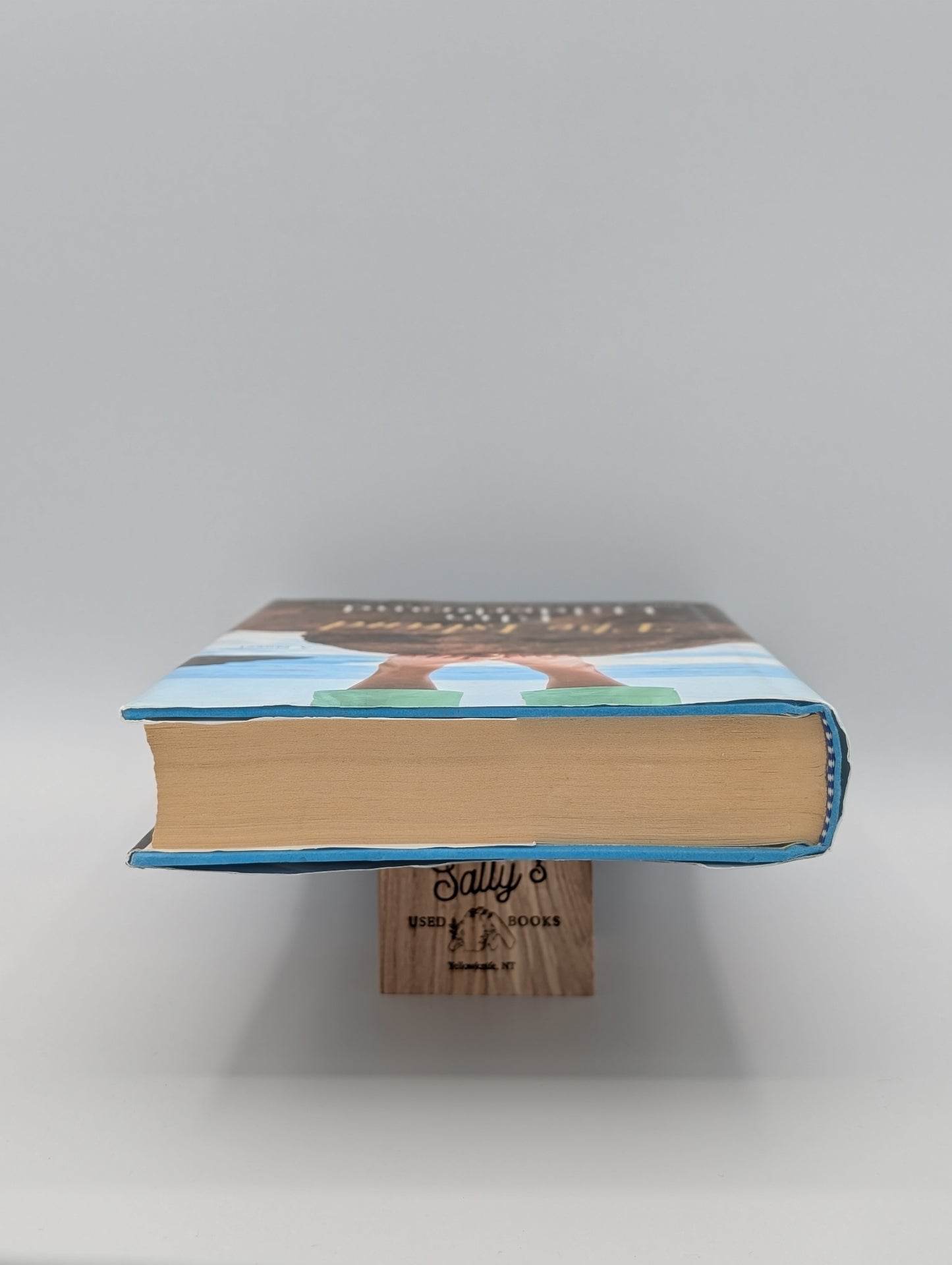 The Island: A Novel