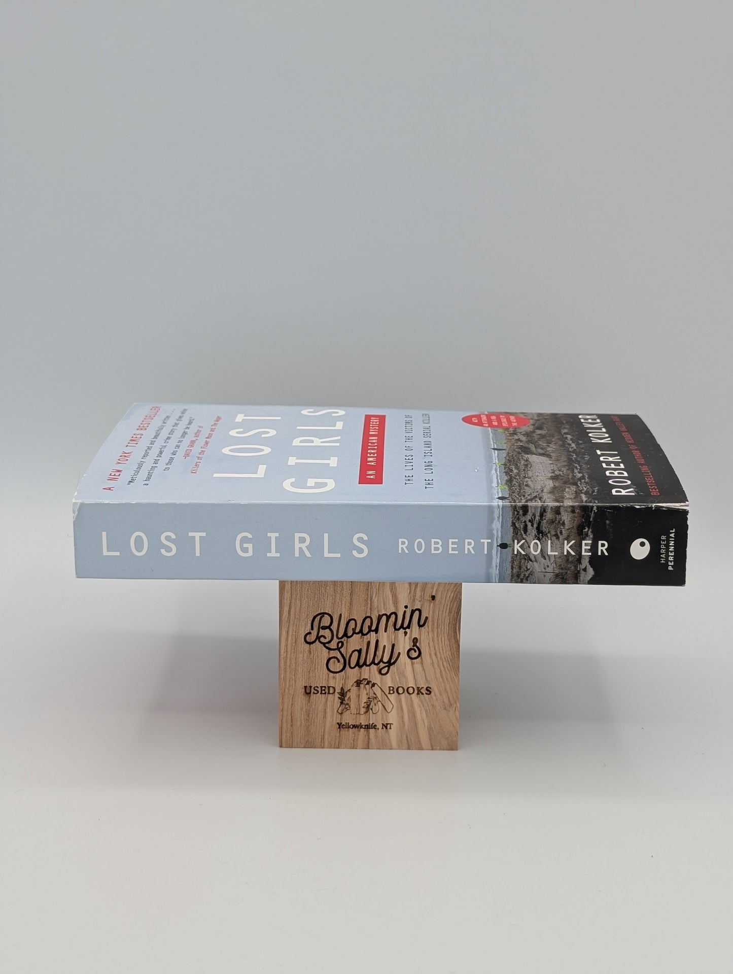 Lost Girls: An American Mystery