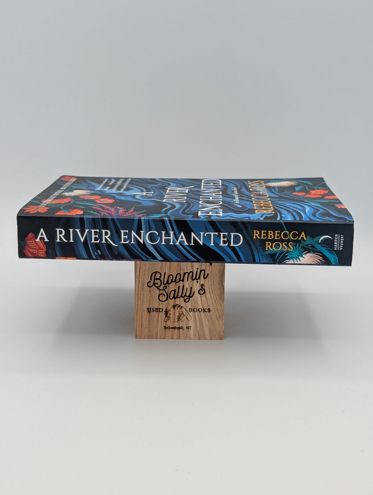 A River Enchanted: A Novel (Elements of Cadence, 1)