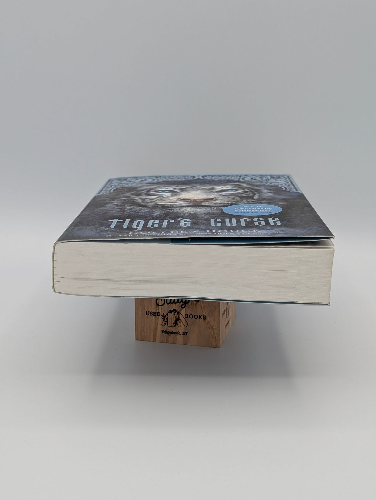 Tiger's Curse (Tiger Saga, 1)