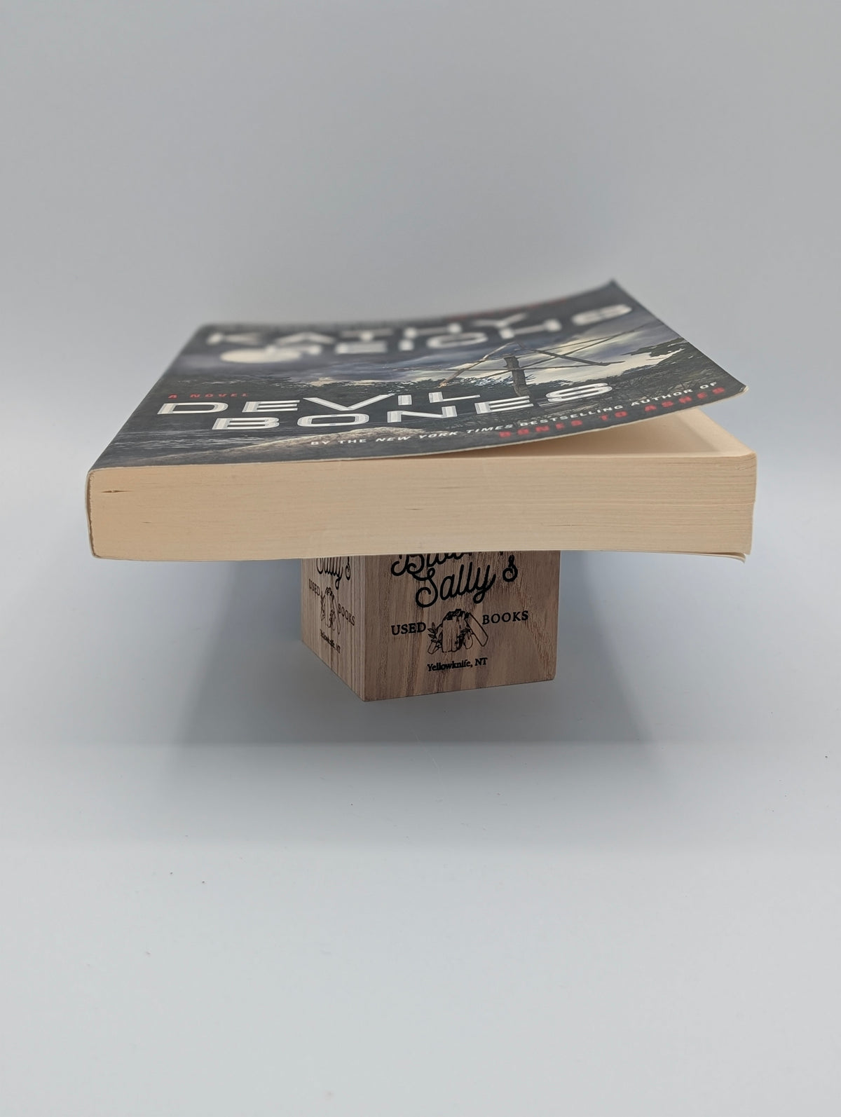 Devil Bones: A Novel