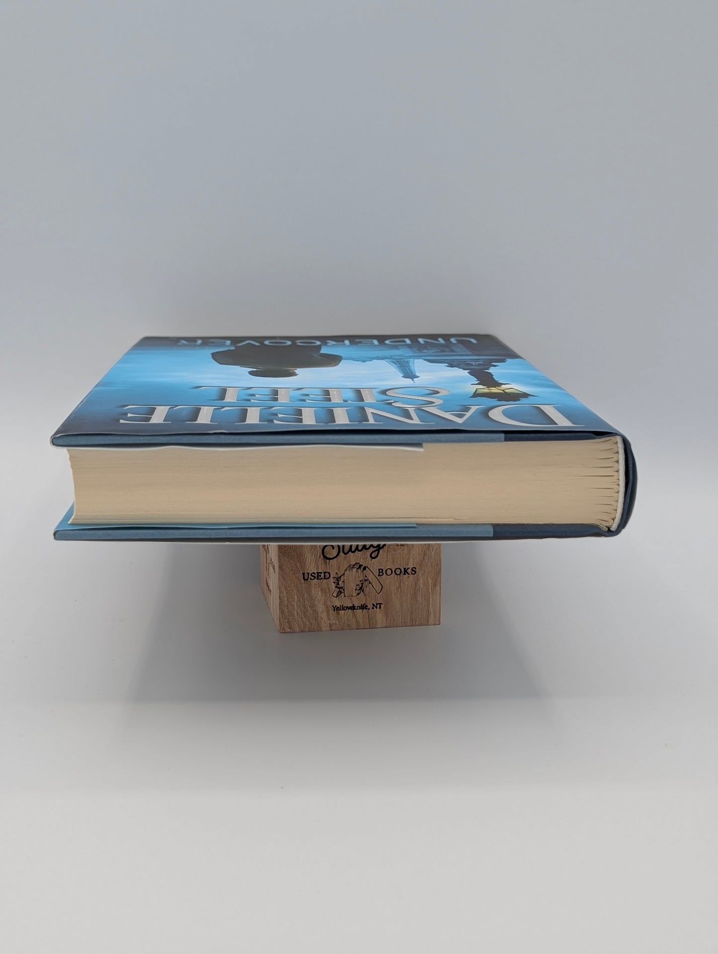Undercover: A Novel