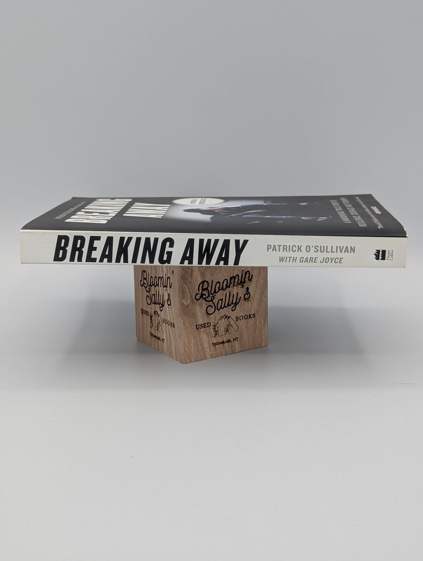 Breaking Away: A Harrowing True Story of Resilience, Courage, and Triumph