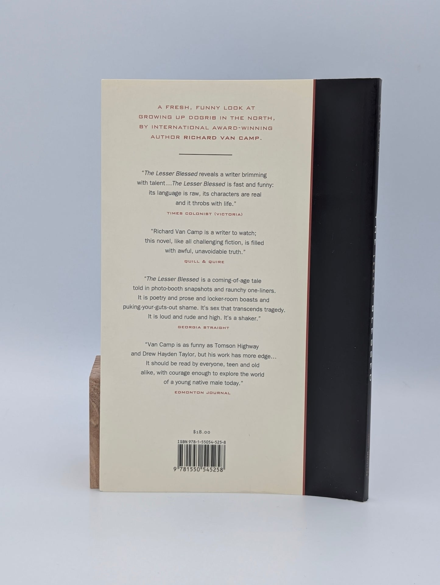 The Lesser Blessed: A Novel
