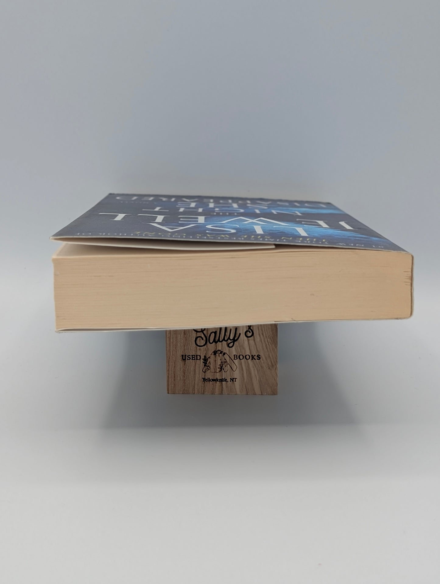 The Night She Disappeared: A Novel
