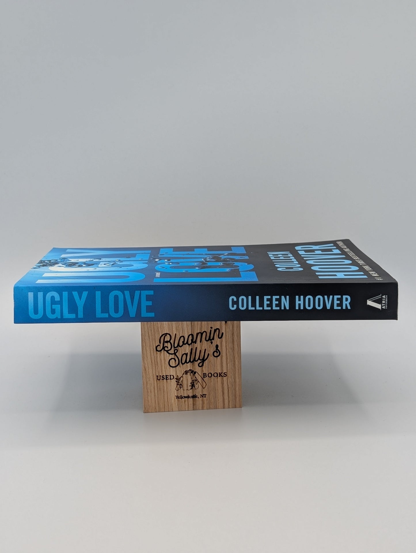 Ugly Love: A Novel