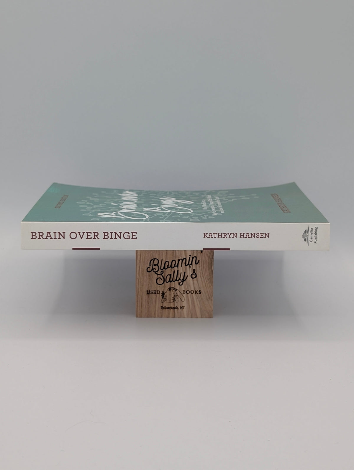 Brain over Binge: Why I Was Bulimic, Why Conventional Therapy Didn't Work, and How I Recovered for Good