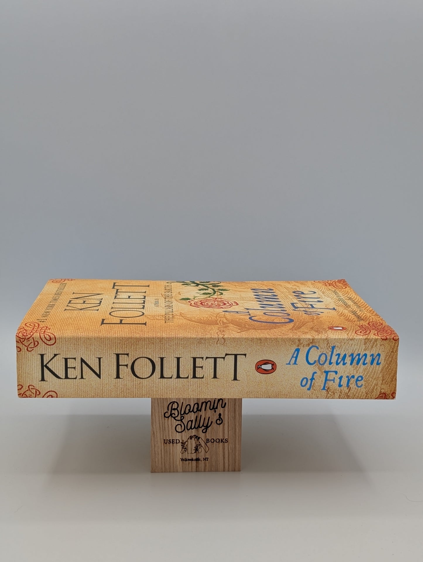 A Column of Fire: A Novel (Kingsbridge)