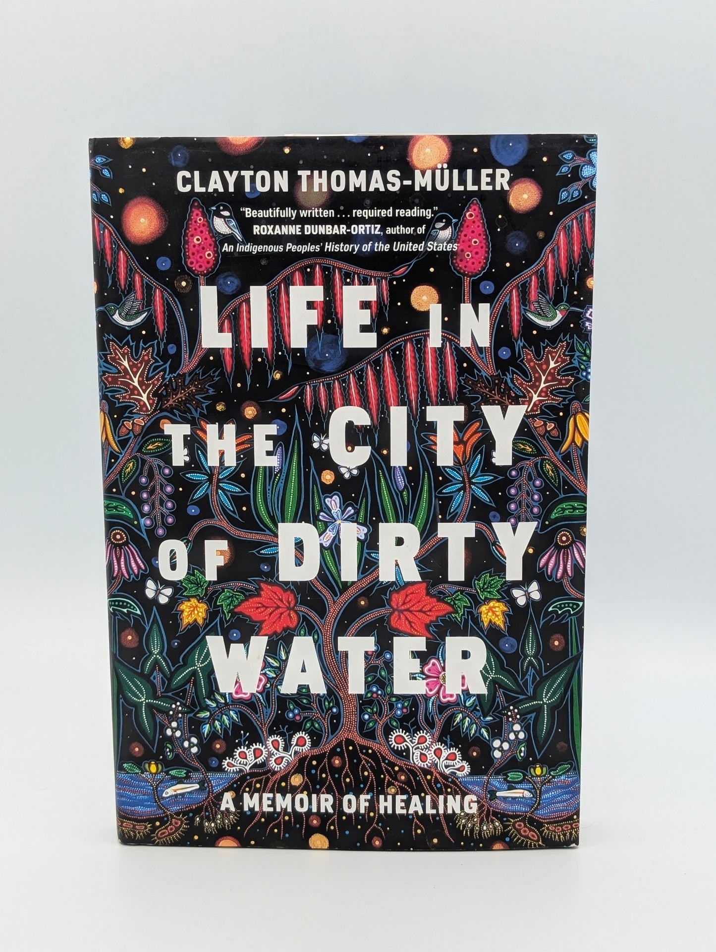 Life in the City of Dirty Water: A Memoir of Healing