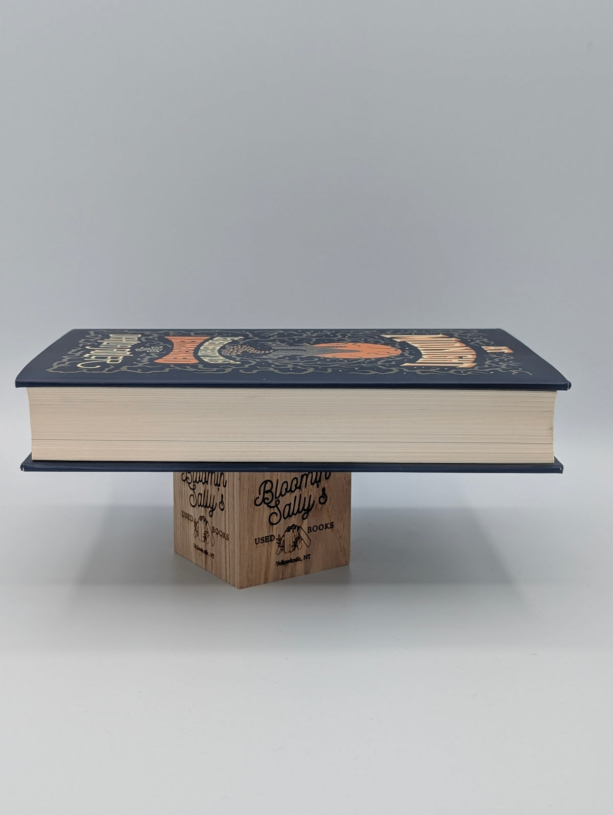 At Midnight: 15 Beloved Fairy Tales Reimagined