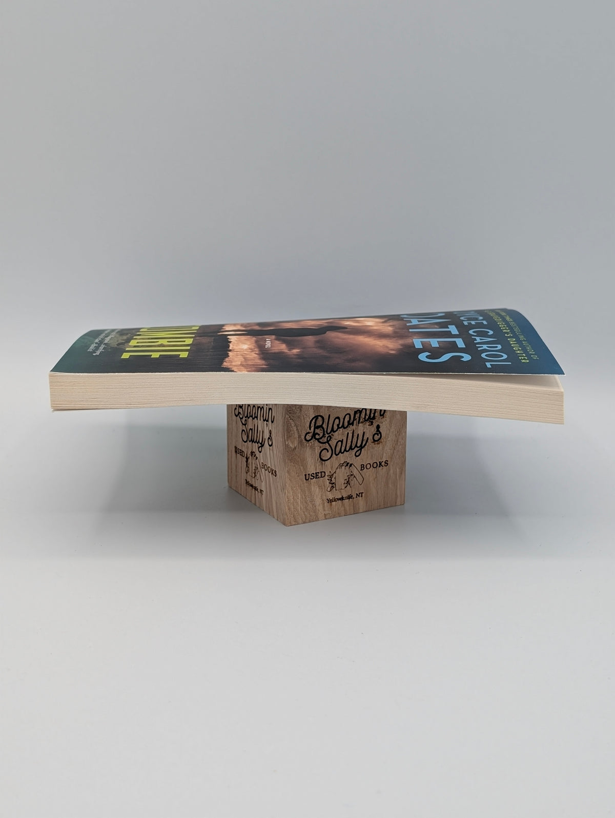 Zombie: A Novel