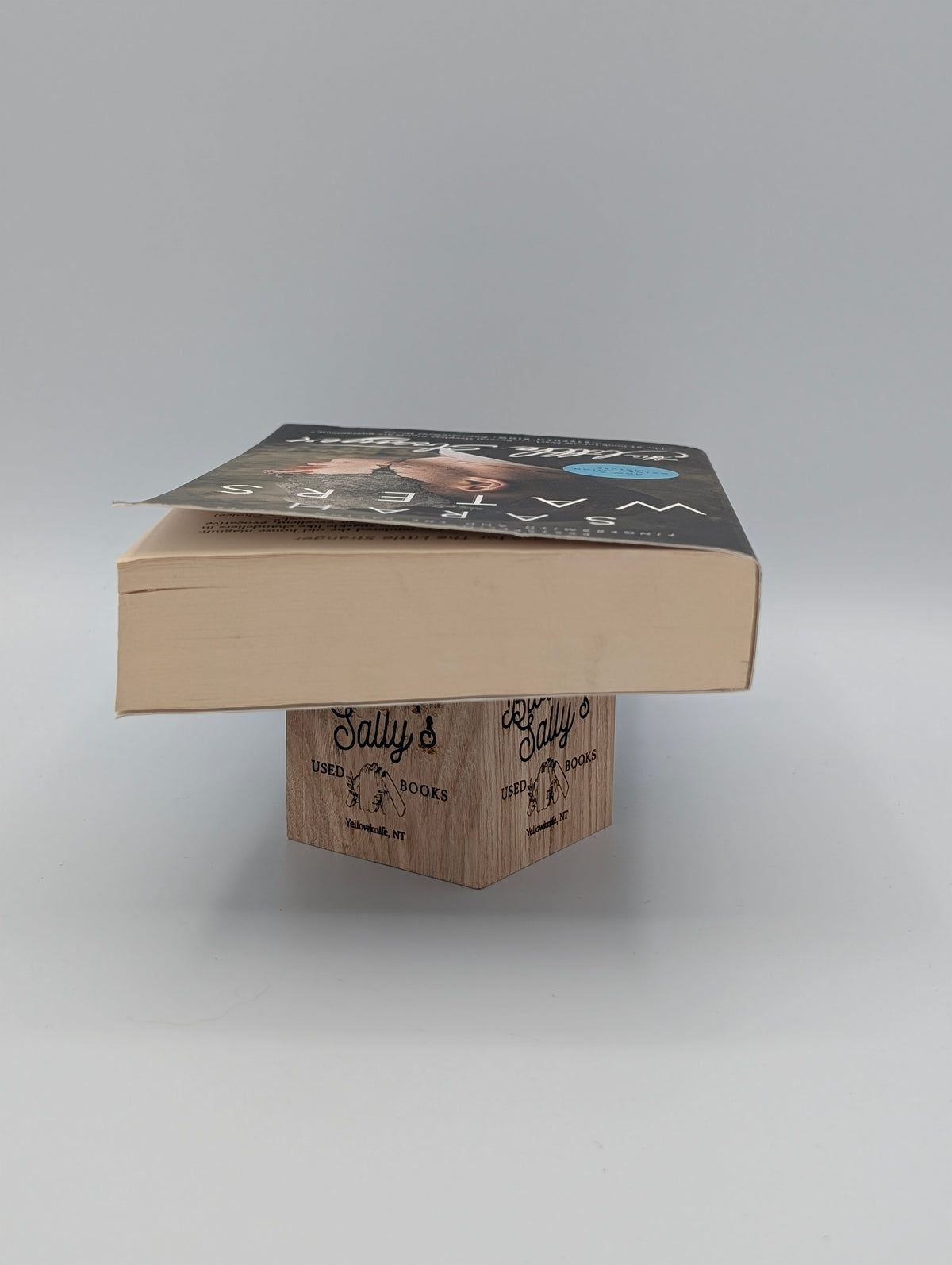 The Little Stranger (Movie Tie-In)