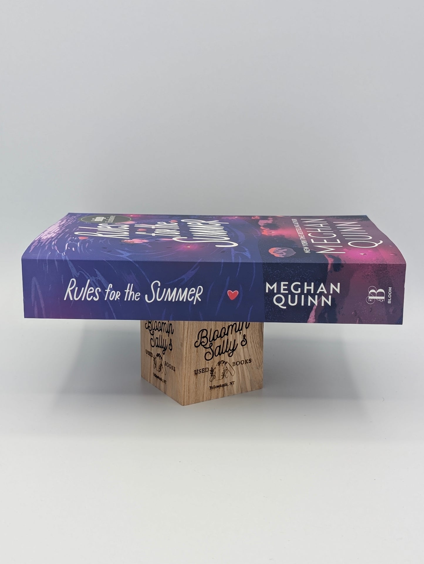 Rules for the Summer (Indigo Edition)