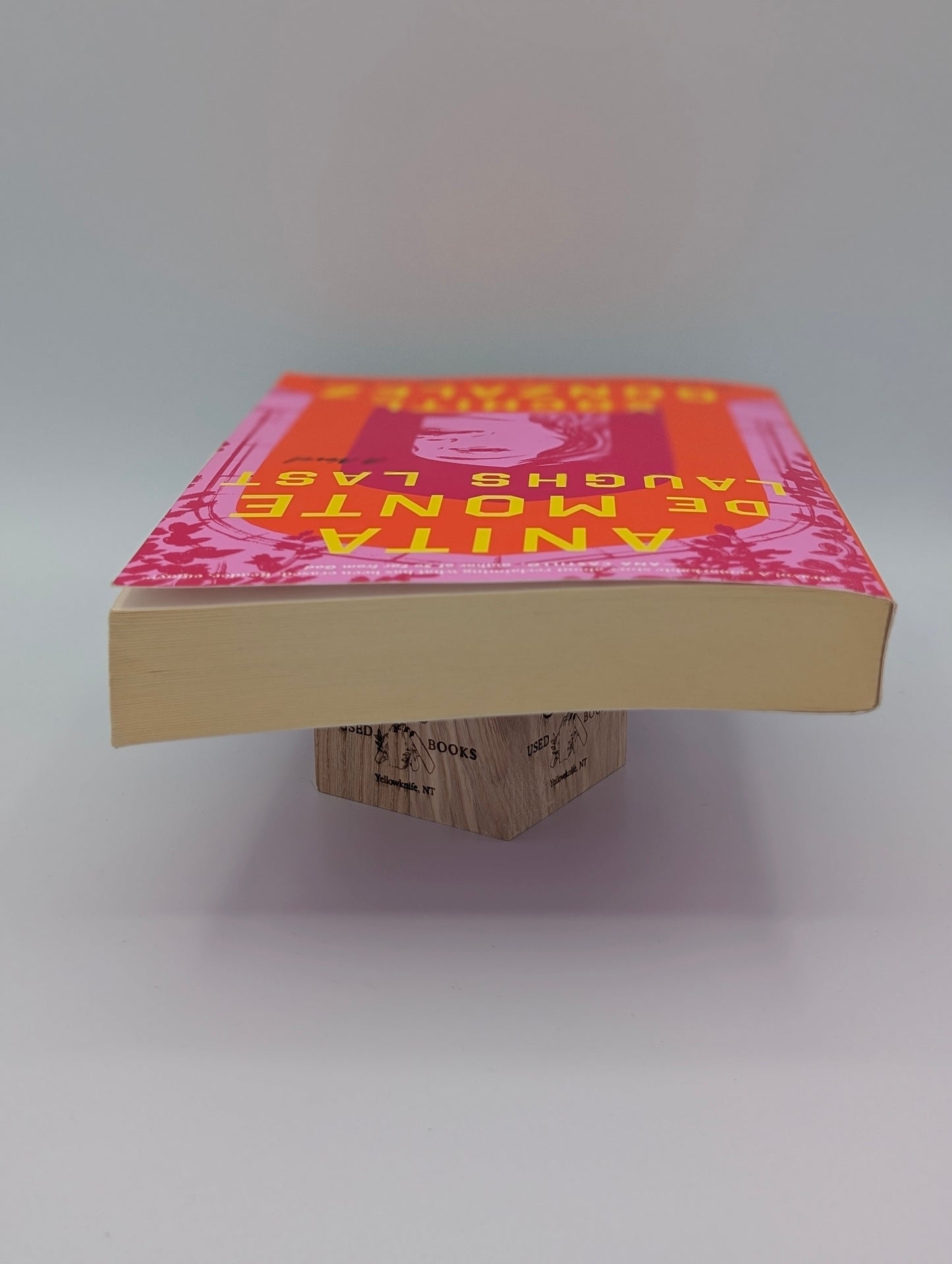 Anita de Monte Laughs Last: Reese's Book Club Pick (a Novel)