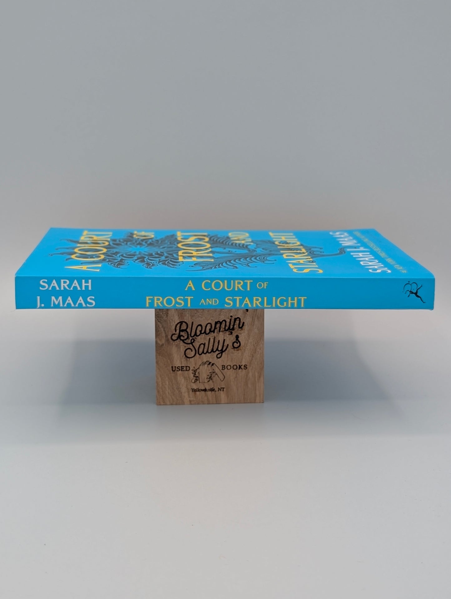 A Court of Frost and Starlight (A Court of Thorns and Roses, 4)
