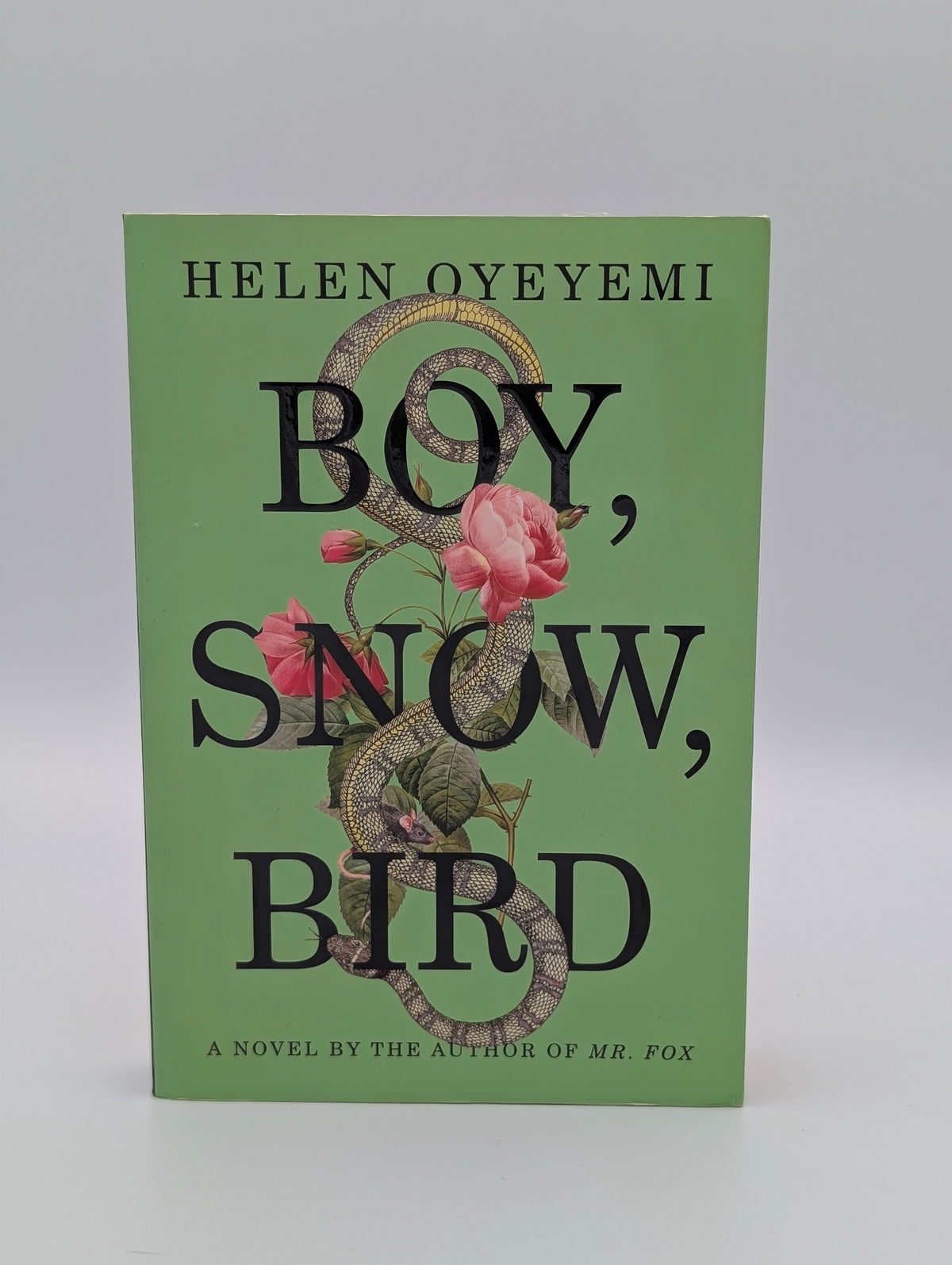 Boy, Snow, Bird