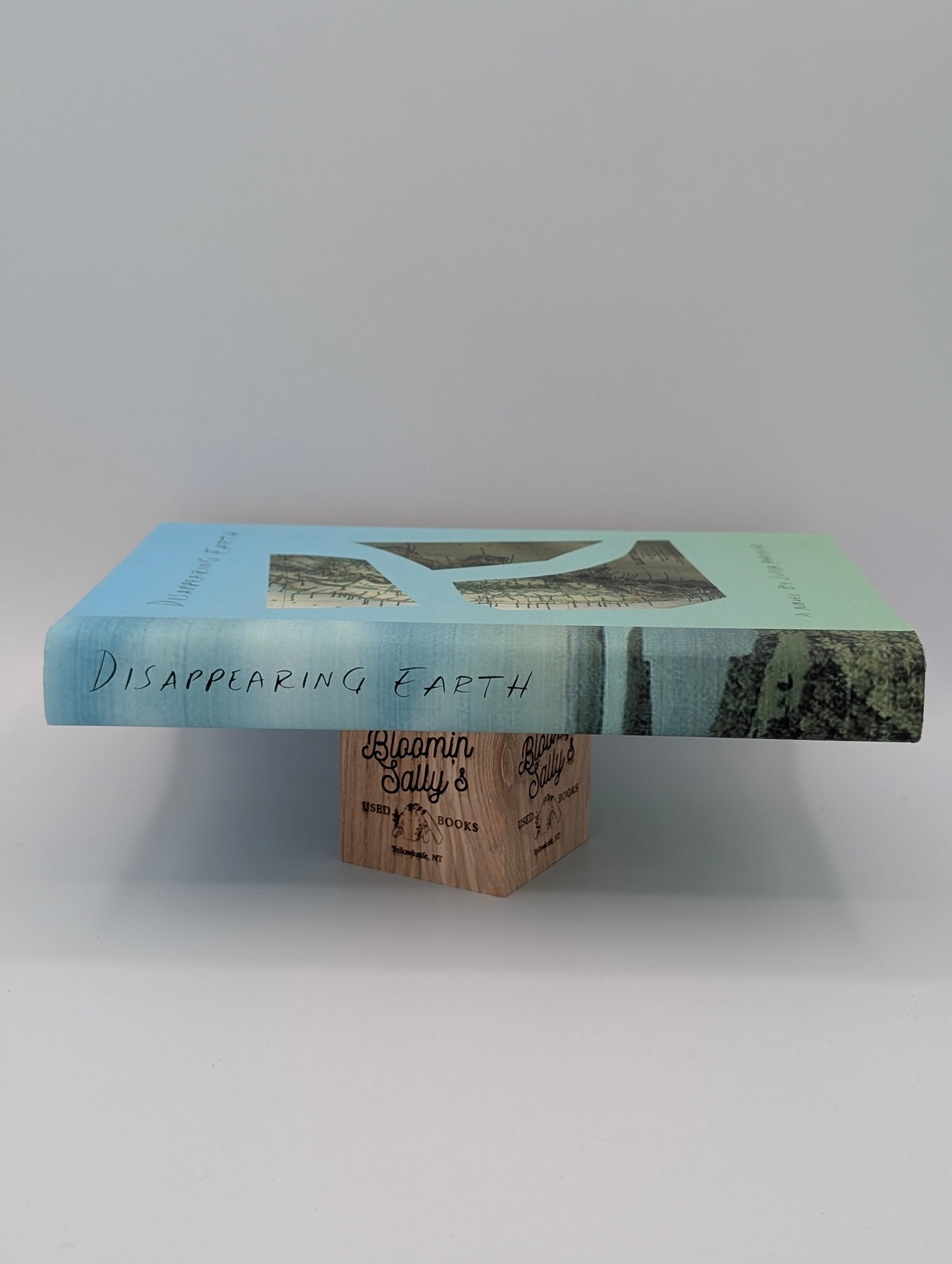 Disappearing Earth: A novel