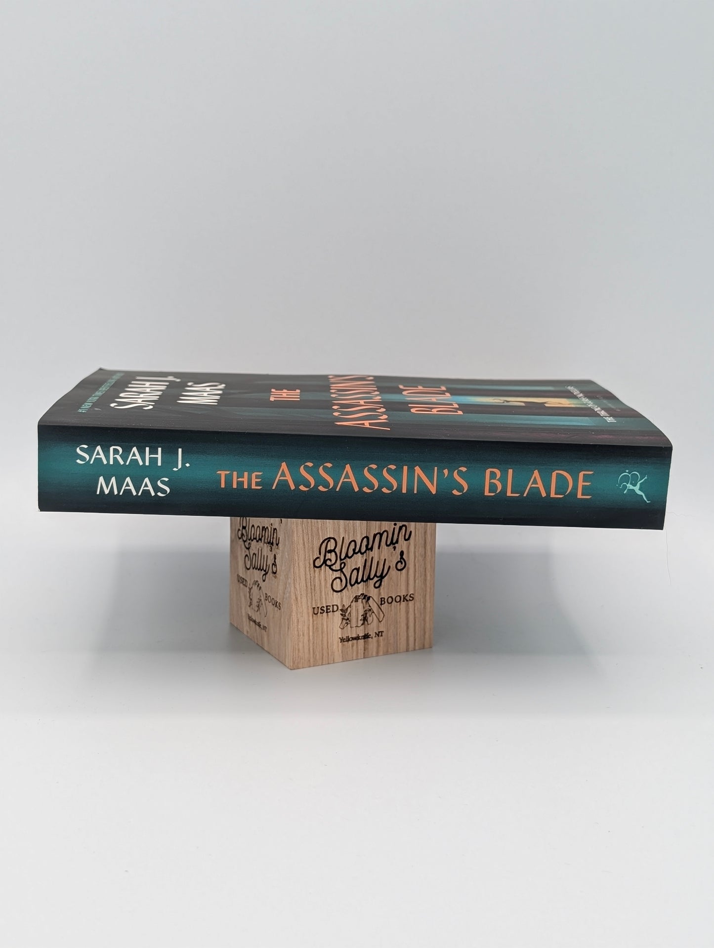 The Assassin's Blade: The Throne of Glass Prequel Novellas (Throne of Glass, 8)