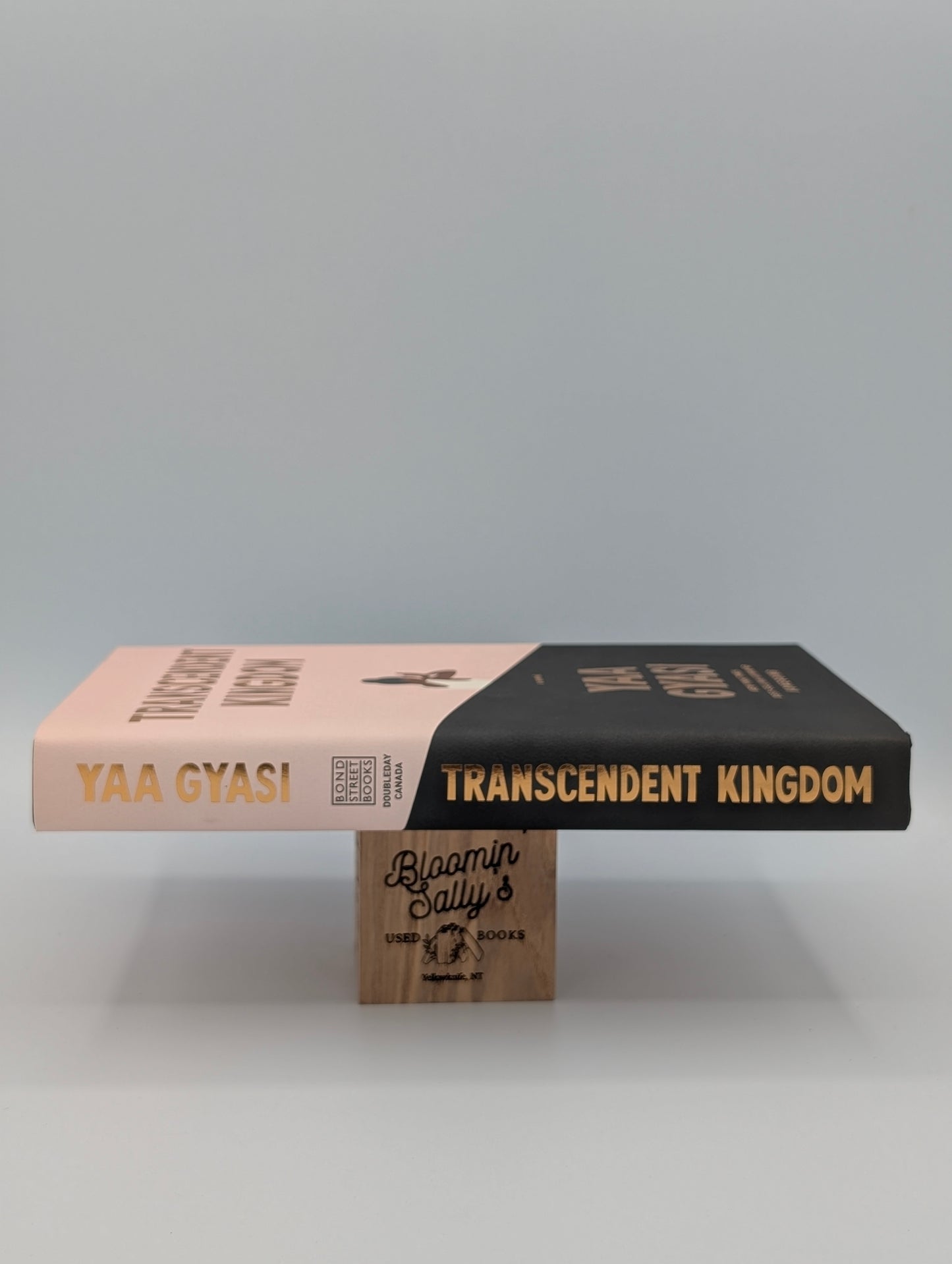 TRANSCENDENT KINGDOM