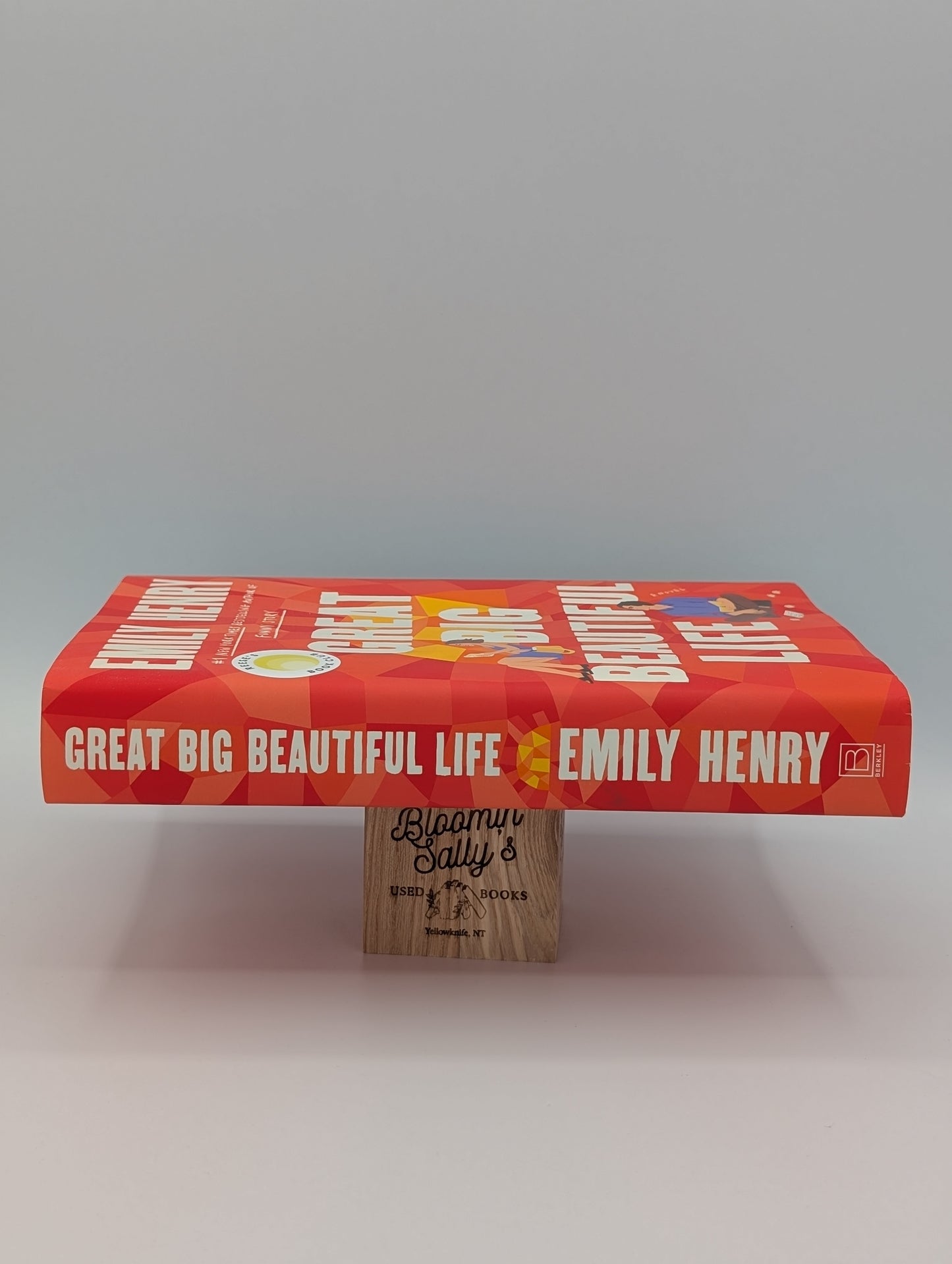 Great Big Beautiful Life