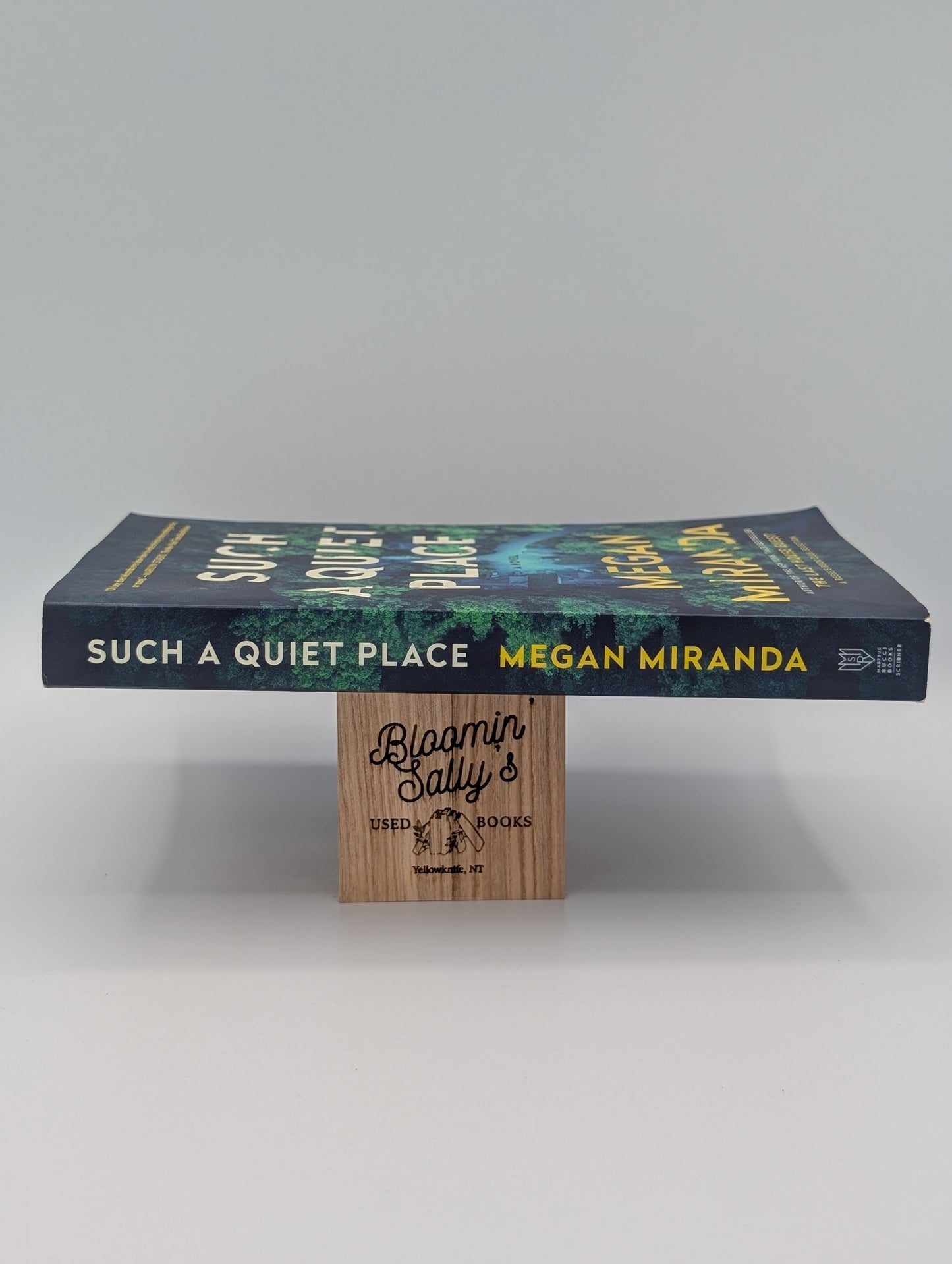 Such a Quiet Place: A Novel