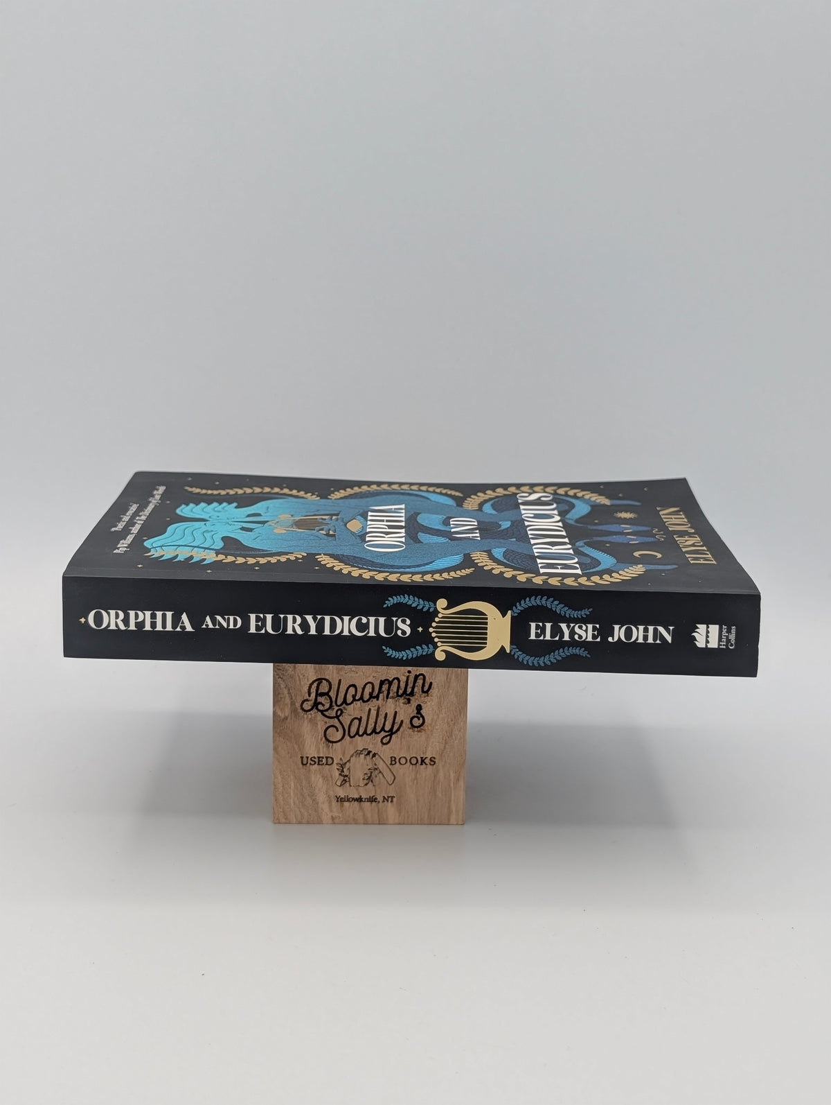 Orphia And Eurydicius: A beautiful compelling story of love and creativity to inspire readers of Jennifer Saint, Madeline Miller and Natalie Haynes