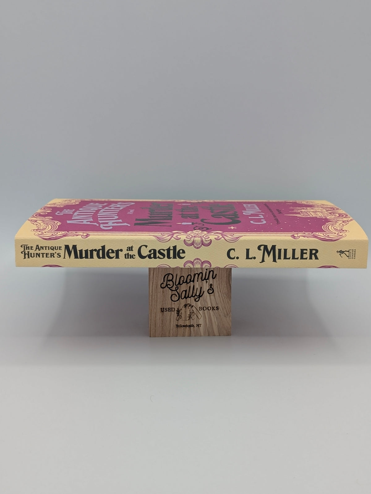 The Antique Hunter's Murder at the Castle: A Novel
